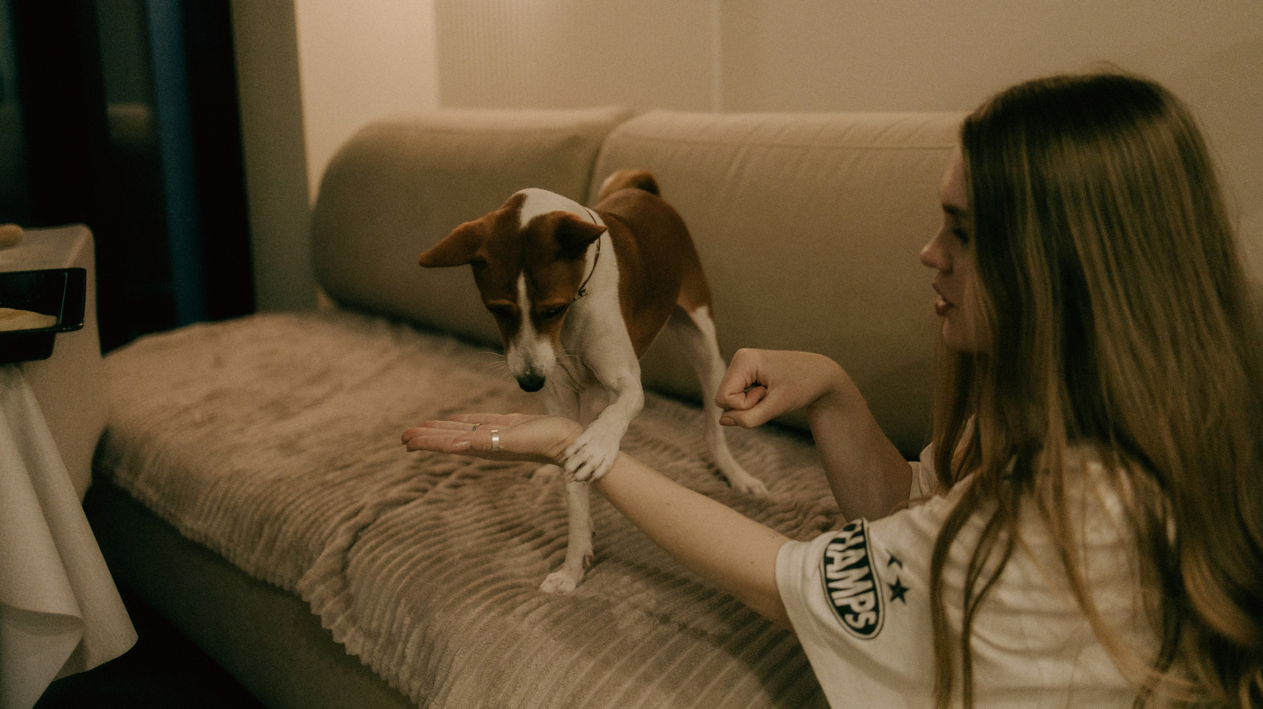 Люба, Никита и Бахати. Фотограф-анималист Богданова Полина