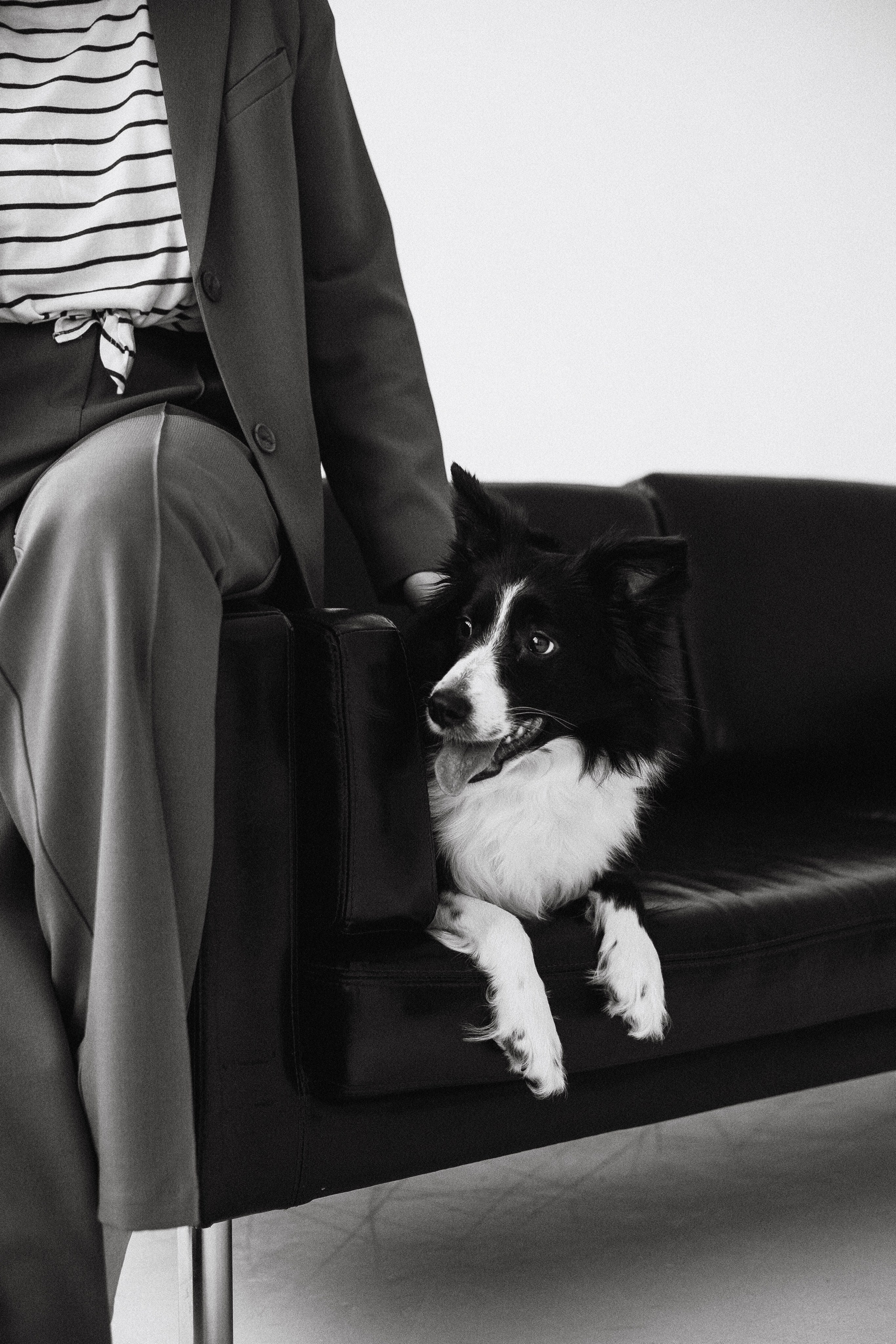 Катя и Райли. Фотограф-анималист Богданова Полина