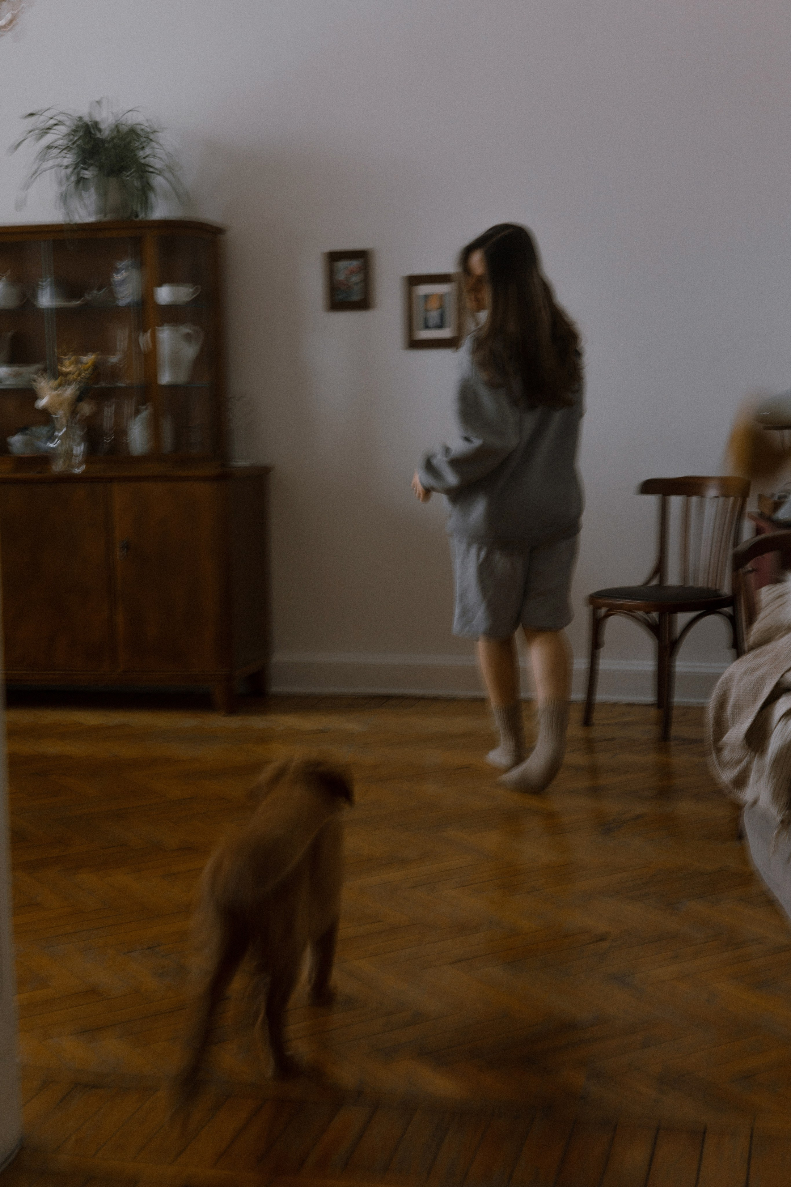 Маша, Одди и Нэвил. Фотограф-анималист Богданова Полина