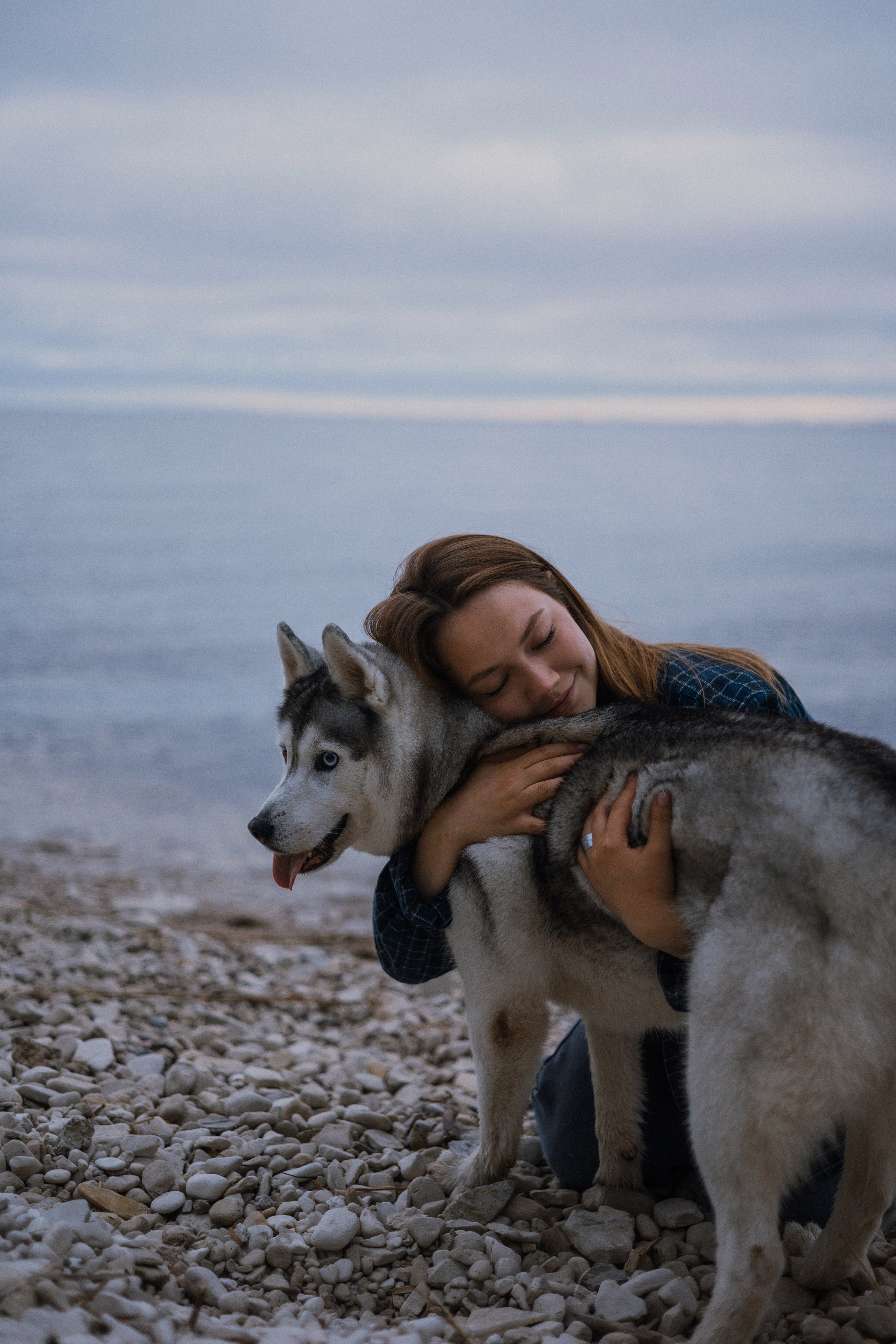 Аделя, Вандер, Шайна и Бая. Фотограф-анималист Богданова Полина