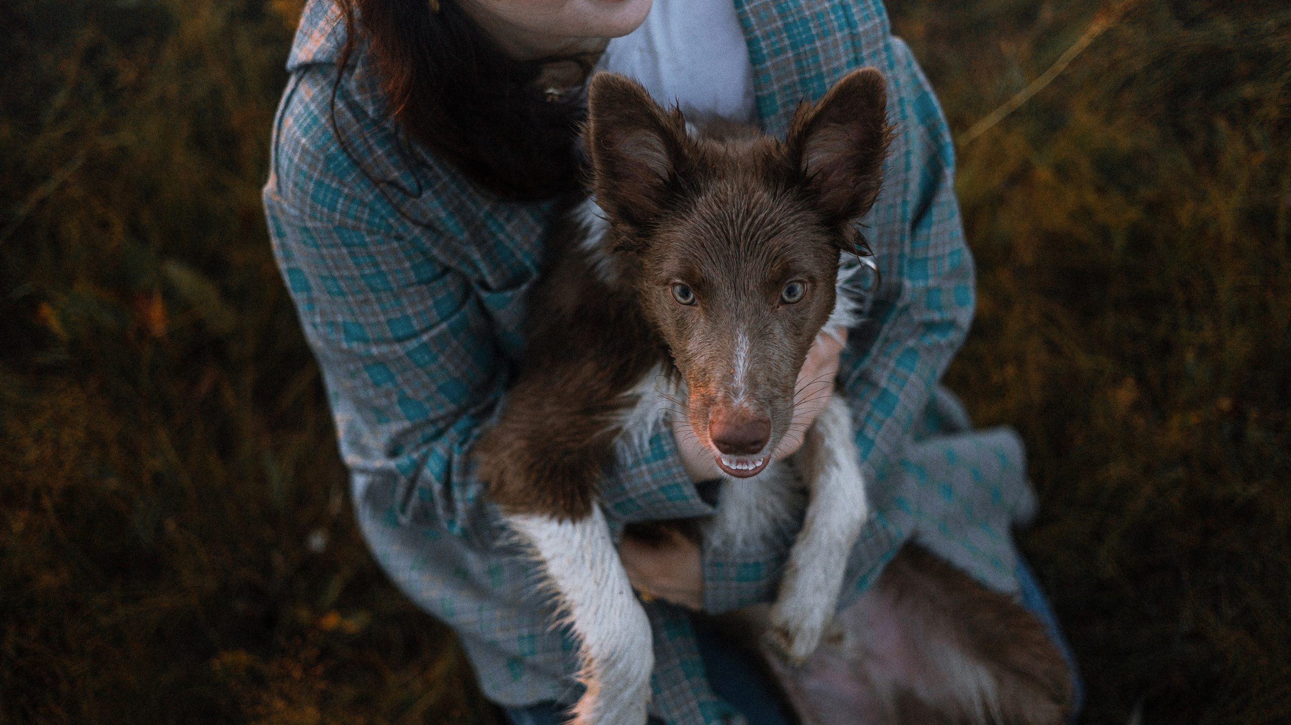 Полина и Паддингтон. Фотограф-анималист Богданова Полина