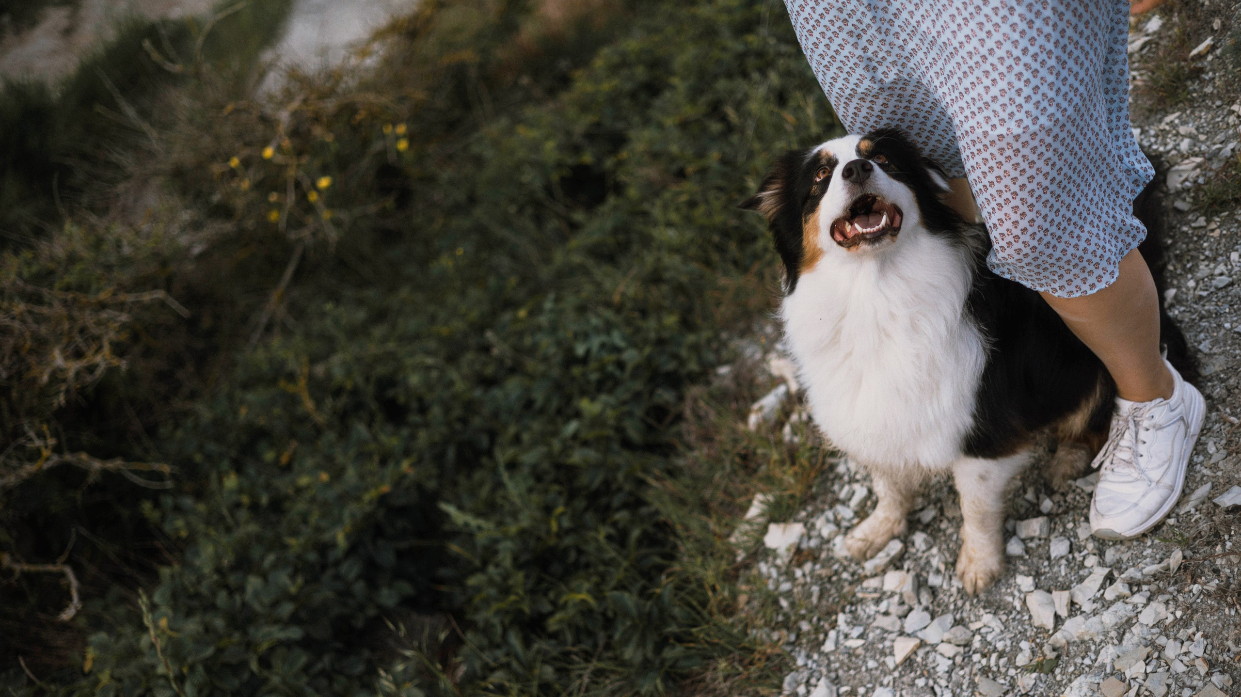 Ира и Джесс. Фотограф-анималист Богданова Полина