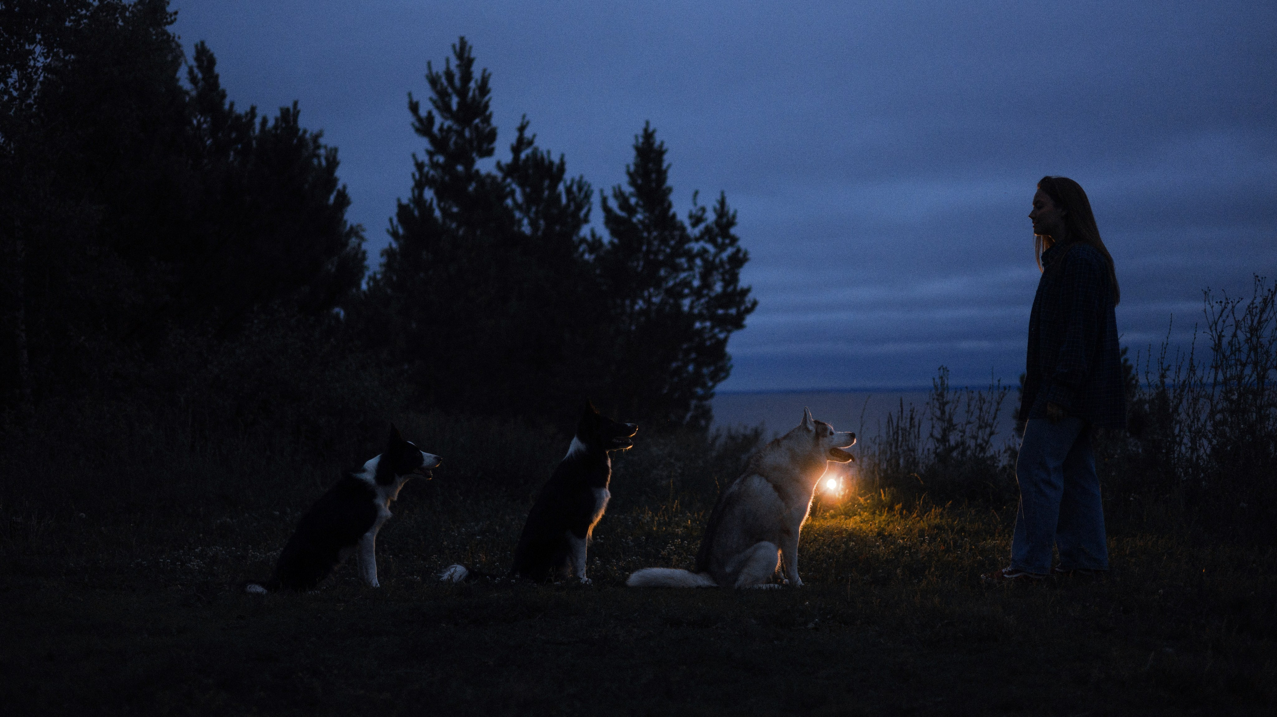 Аделя, Вандер, Шайна и Бая. Фотограф-анималист Богданова Полина