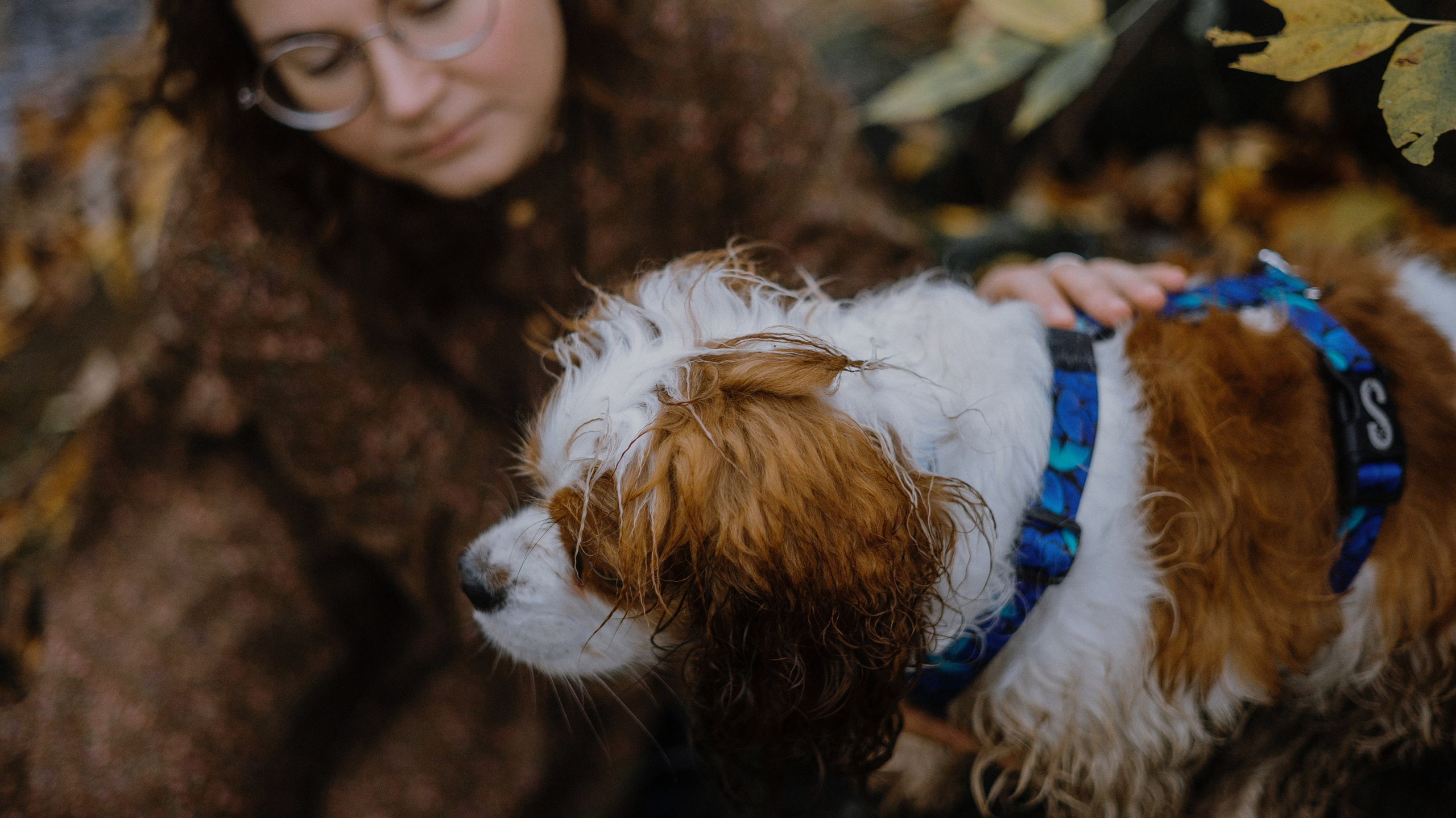 Маша и Дарси. Фотограф-анималист Богданова Полина