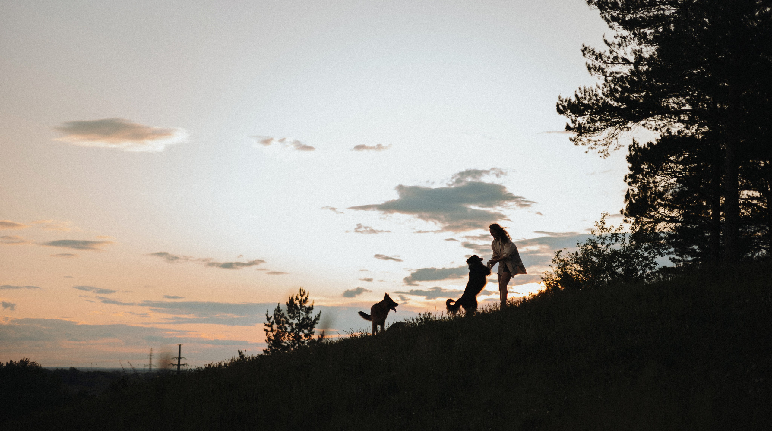 Настя, Шуня, Милка и Тигуан. Фотограф-анималист Богданова Полина