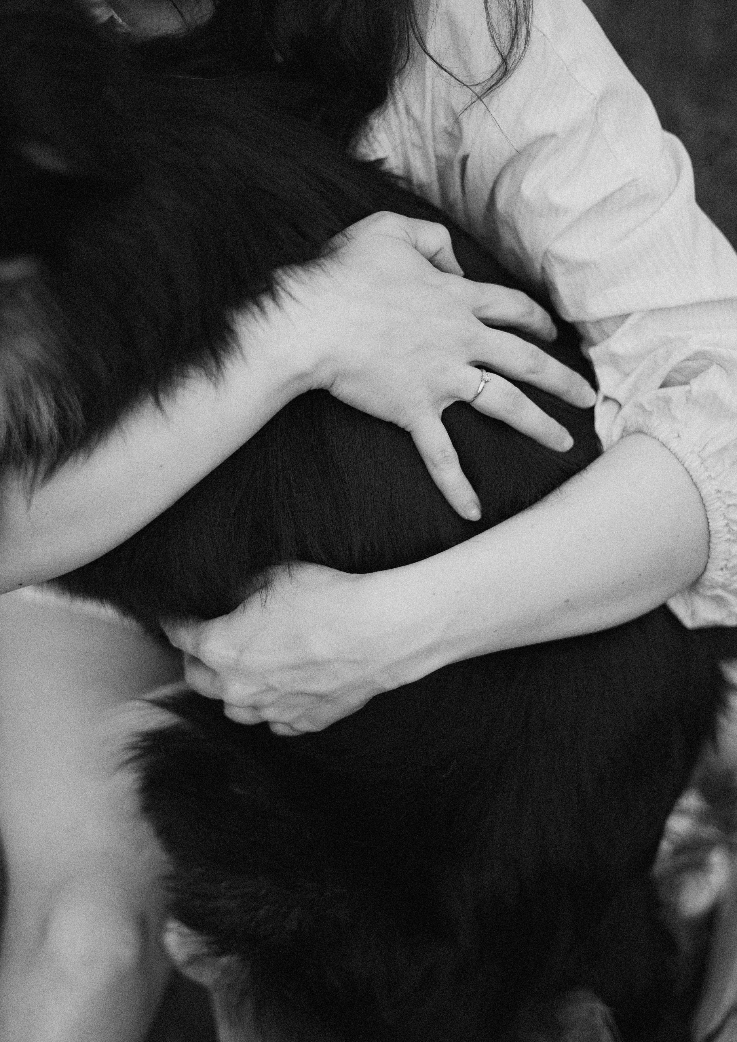 Настя, Шуня, Милка и Тигуан. Фотограф-анималист Богданова Полина