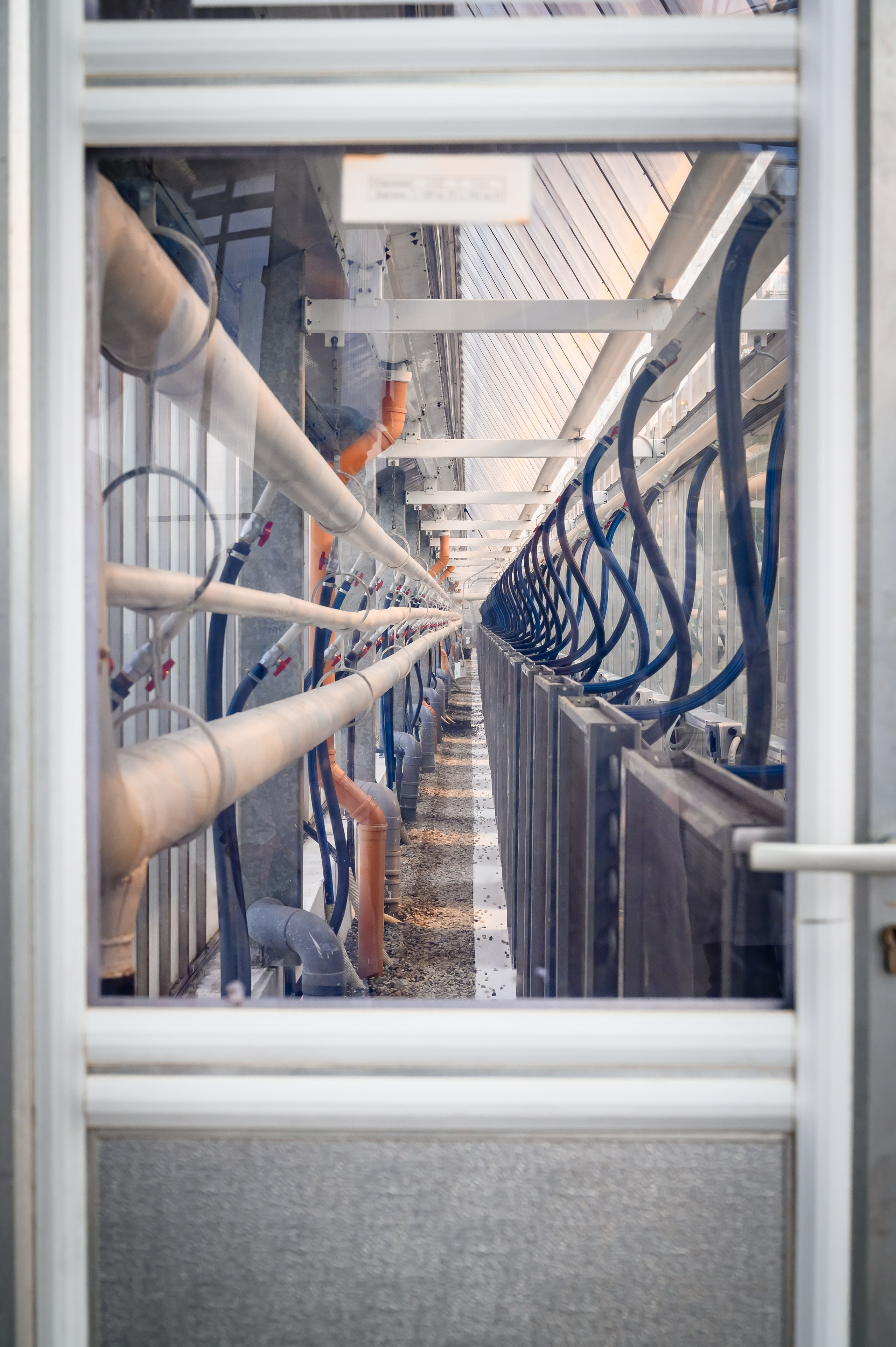 Тепличный комплекс «ПЕРМСКИЙ»