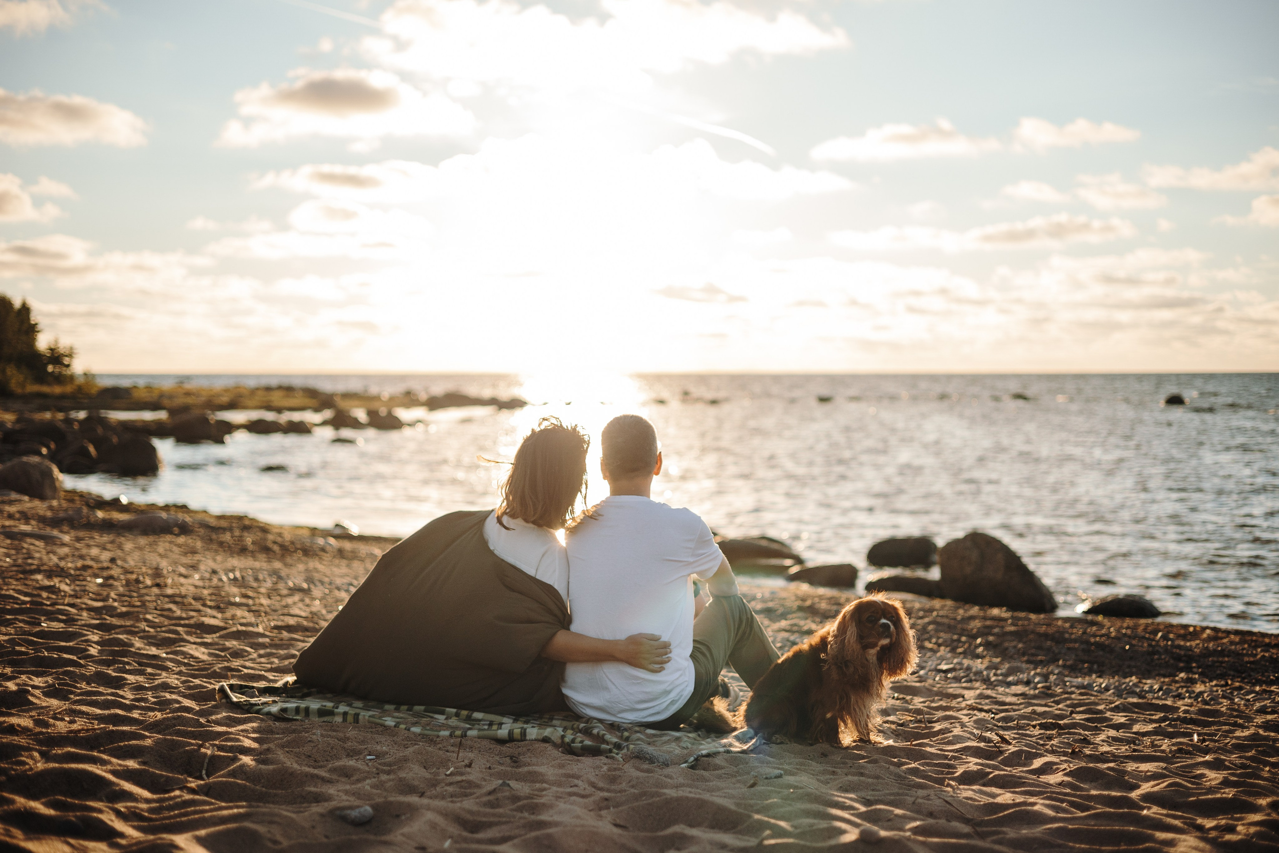 Верон, Гарри и их семья. Фотограф — Анималист | Санкт-Петербург