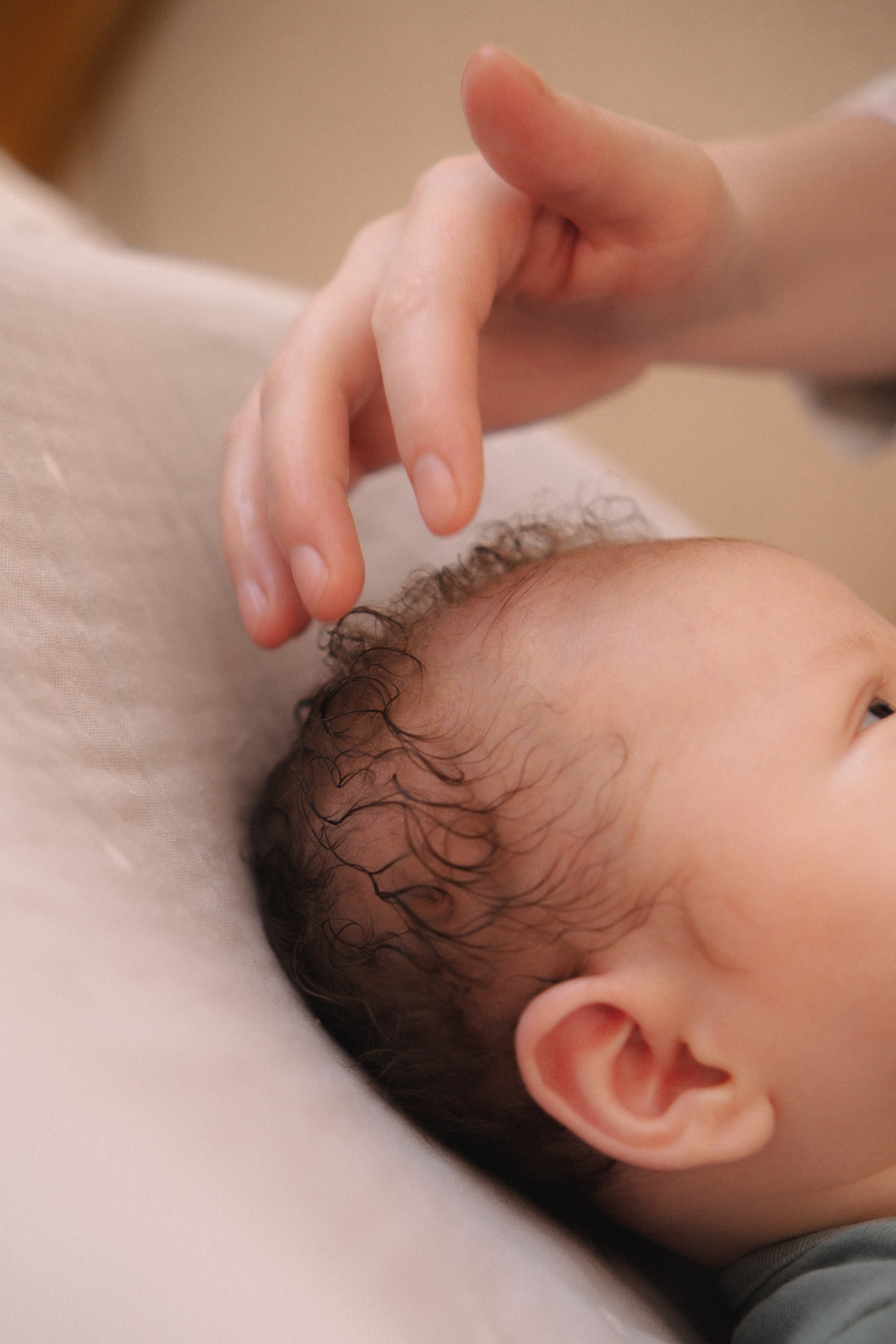 Лёвушка. Семейный фотограф Уфа Головченко Анастасия