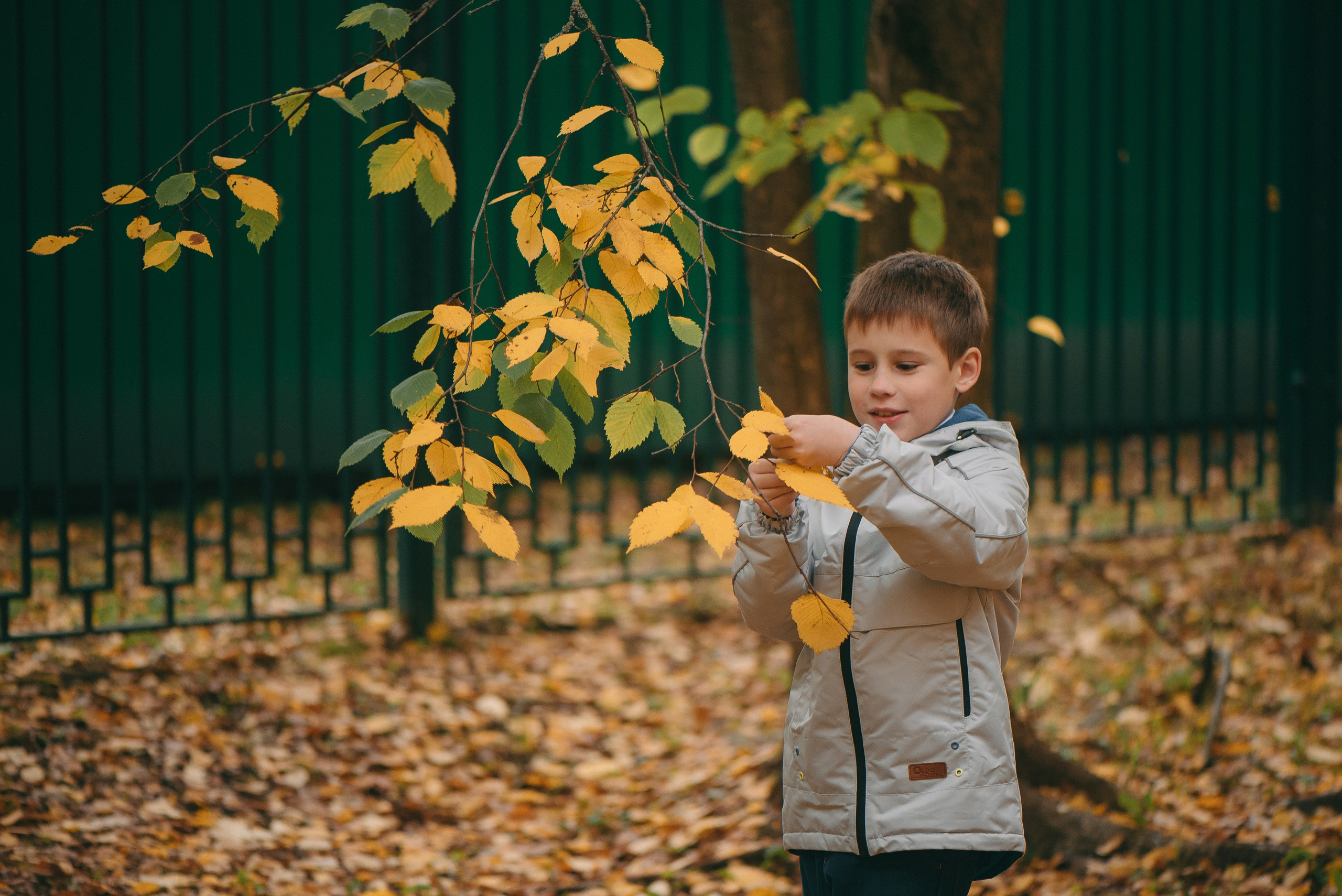 Семейная фотосессия на природе. Семейный и детский фотограф в Обнинске, Калуге, Москве