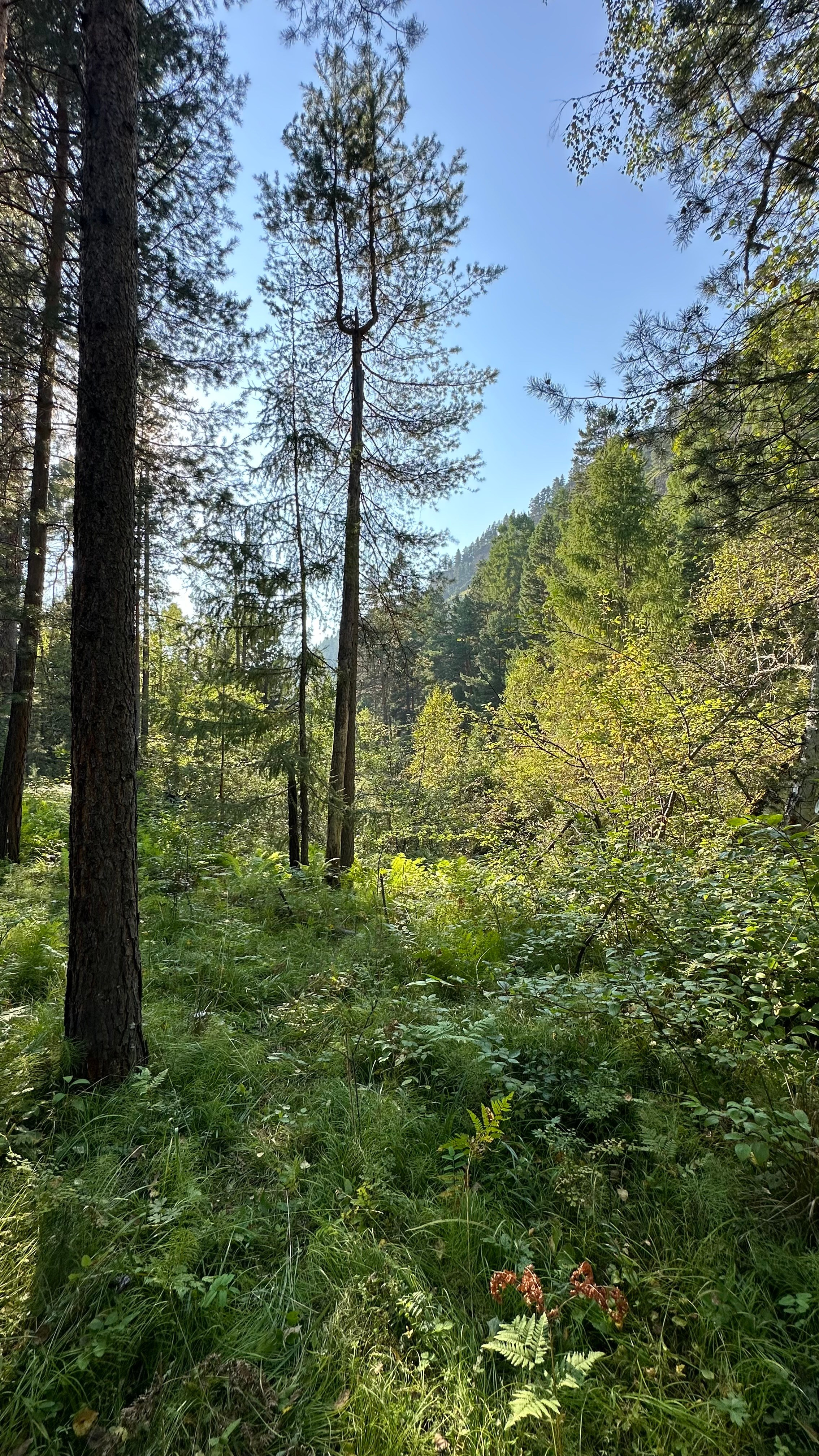 2024. Тащилин Сергей. Фотографии. Жизнь. Хобби