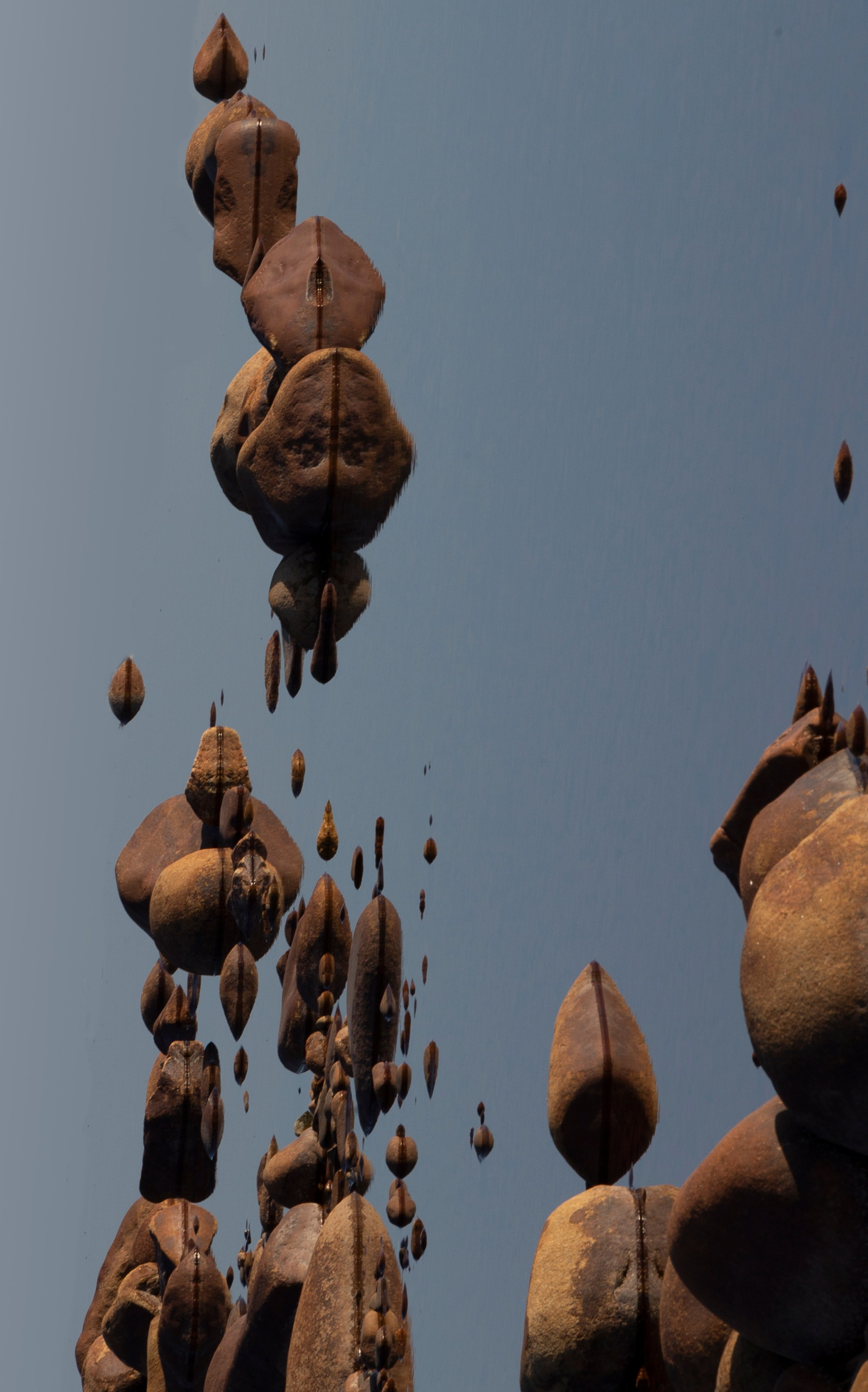 2018. Тащилин Сергей. Фотографии. Жизнь. Хобби