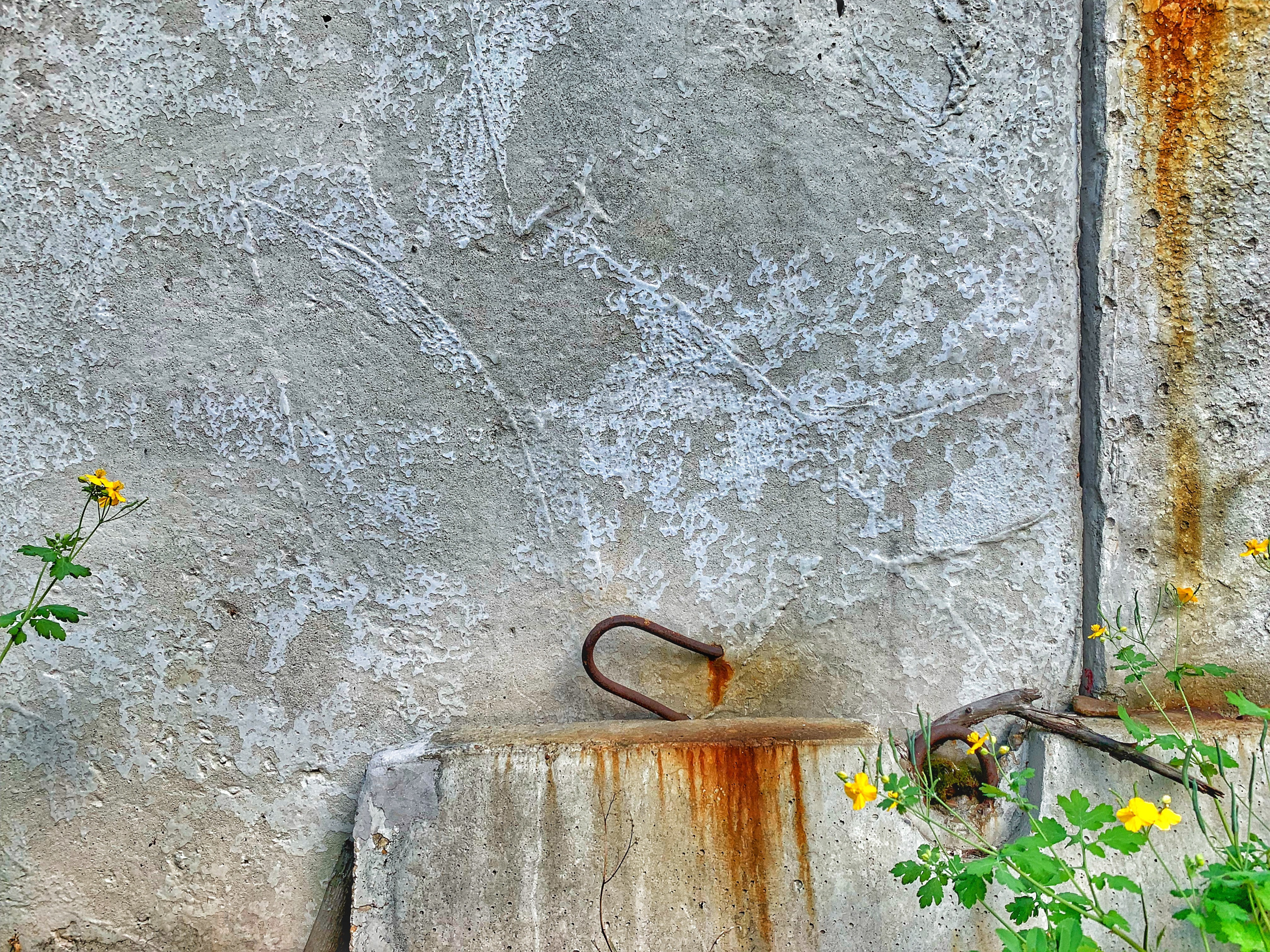 2019 год. Тащилин Сергей. Фотографии. Жизнь. Хобби