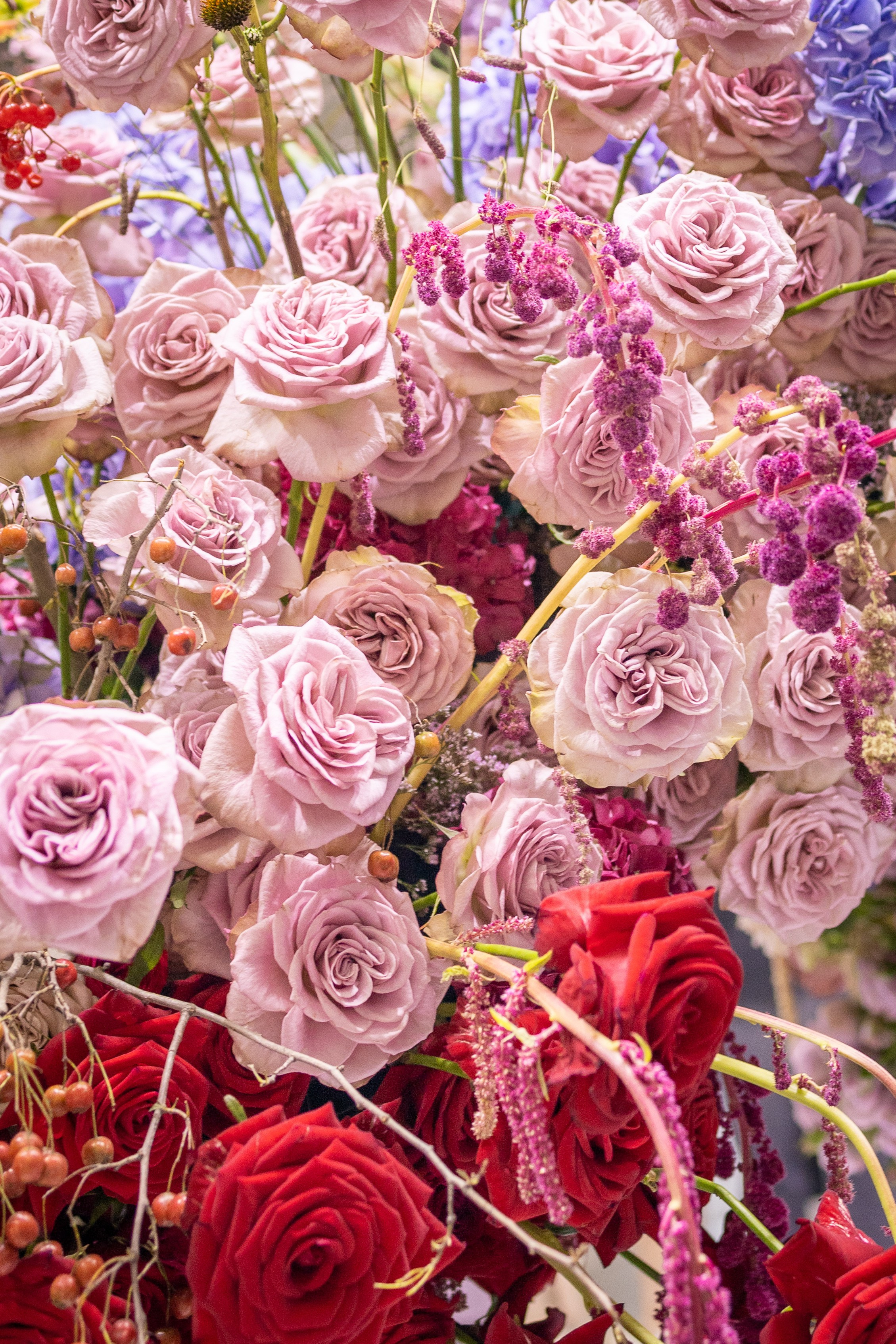 Цветы-Экспо 2025. Фотосессии и репортаж — Фотограф в Москве — Рина Серёгина