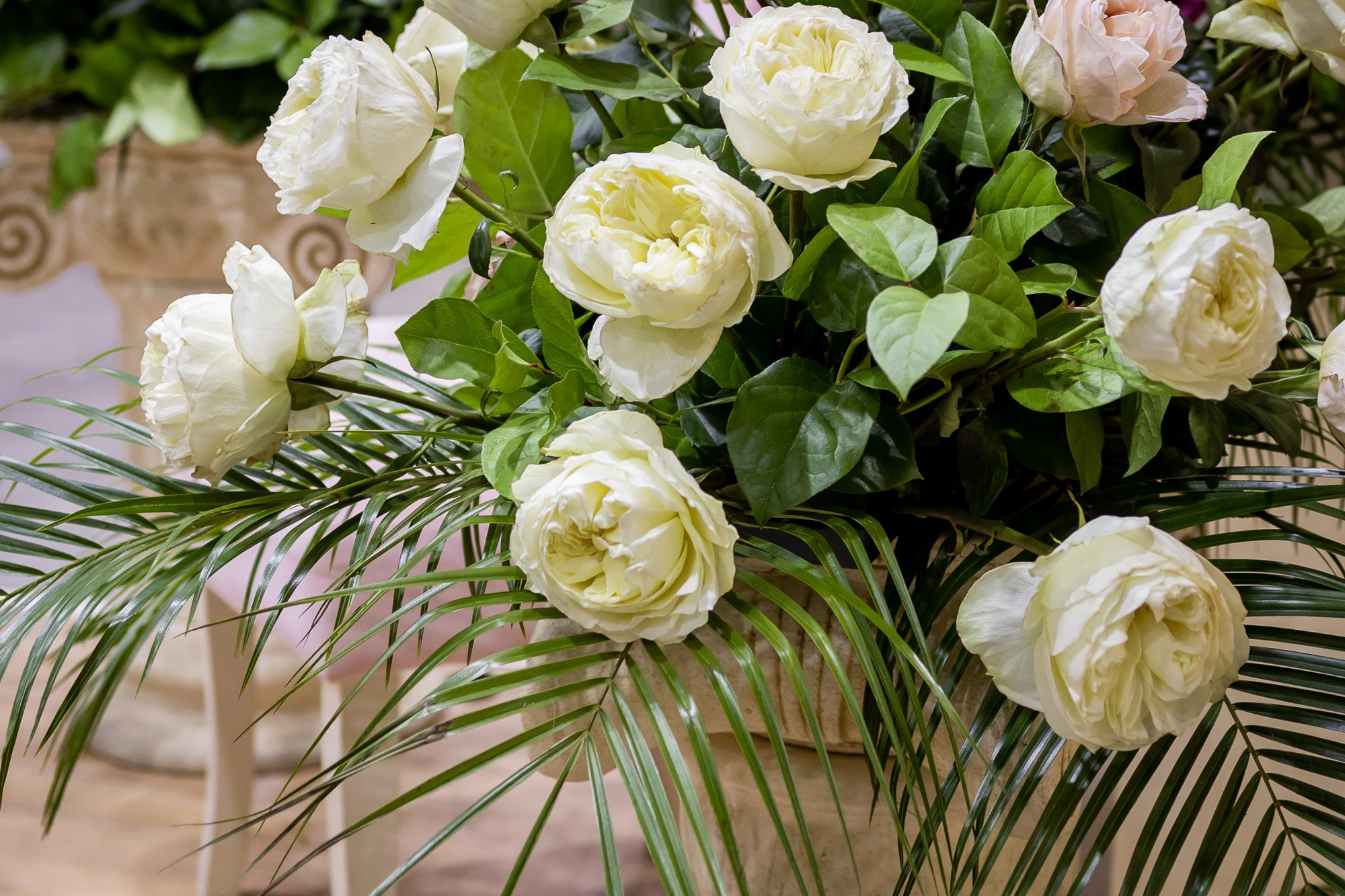 Цветы-Экспо 2025. Фотосессии и репортаж — Фотограф в Москве — Рина Серёгина