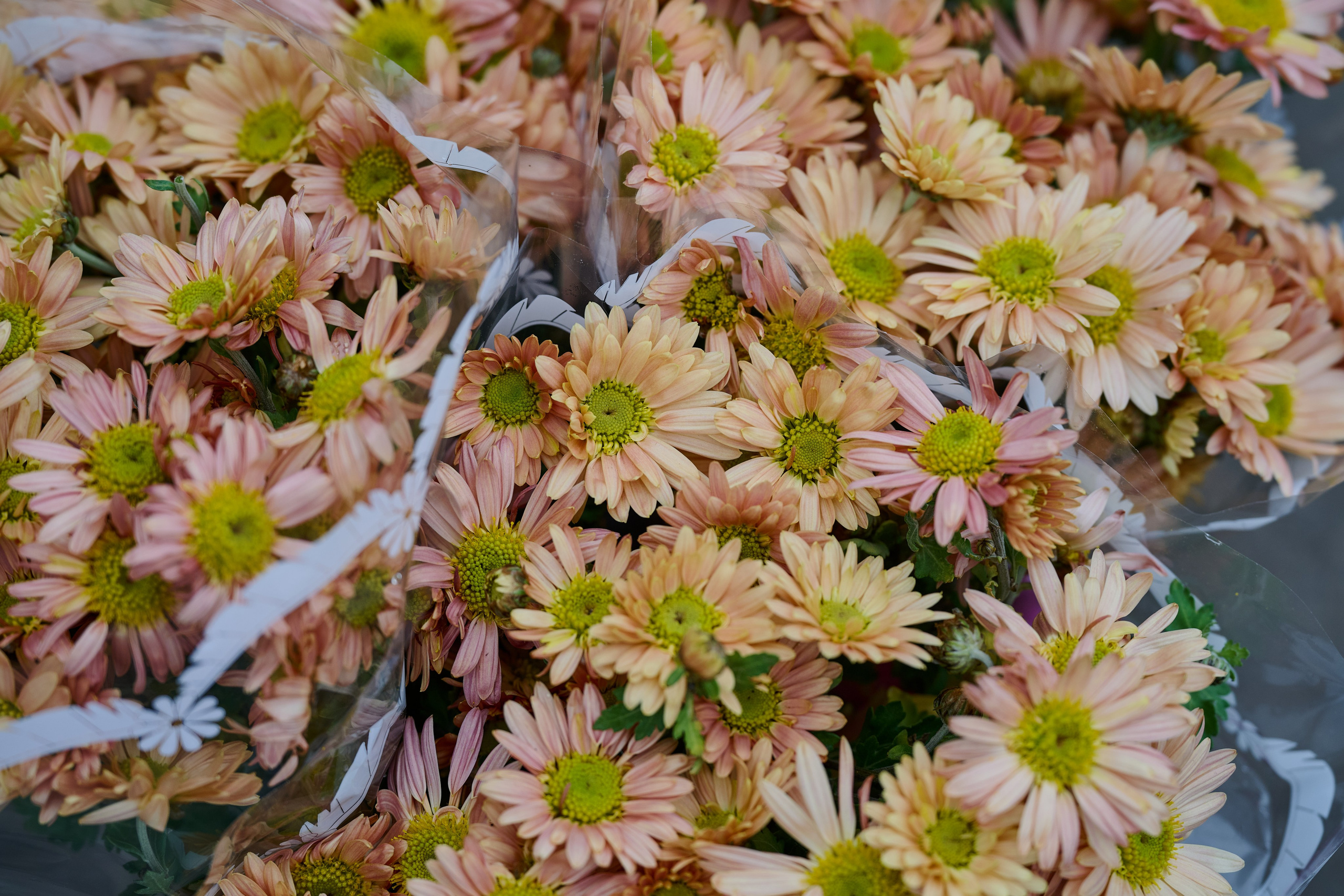 Рубежное. Луганская область. Фотопроект «Территории»