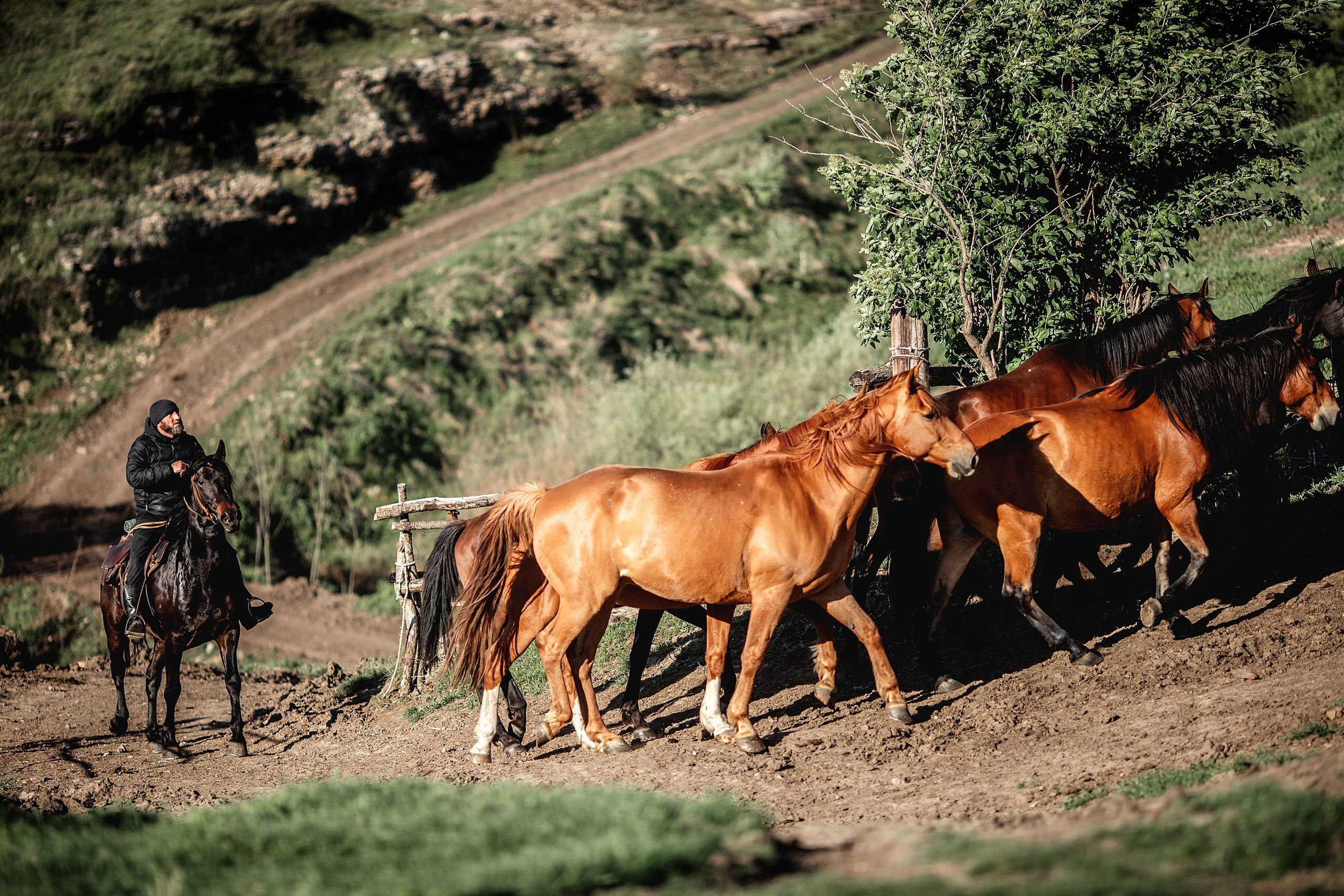 КЧР май'24. BrisArts