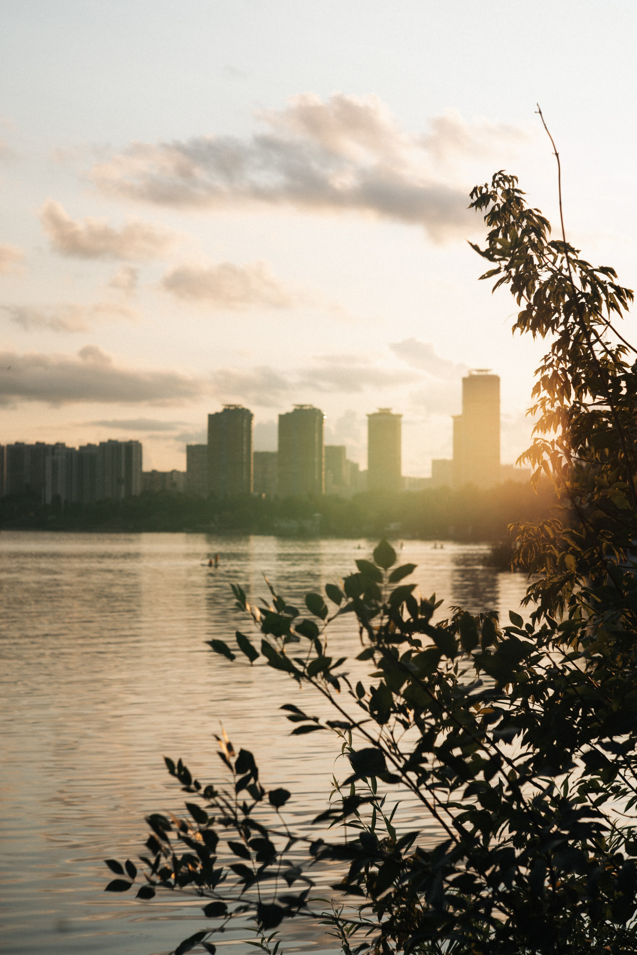 Кристина и Эфи. Фотограф анималист в Москве и Санкт-Петербурге Свиридова Анна