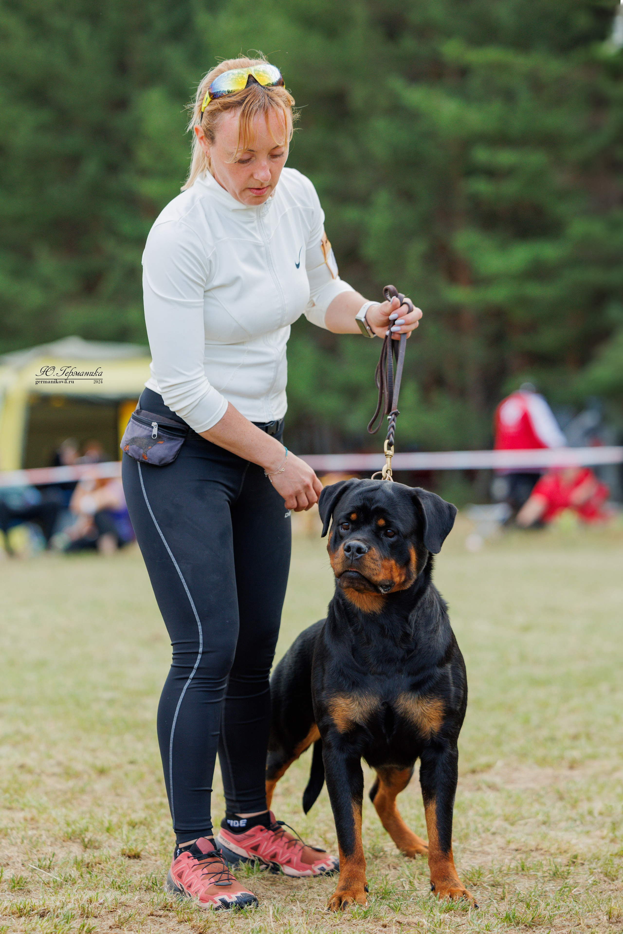 ПК и КЧК ротвейлеры Тверь 6-7.07.2024. Фотограф-анималист Юлия Германика