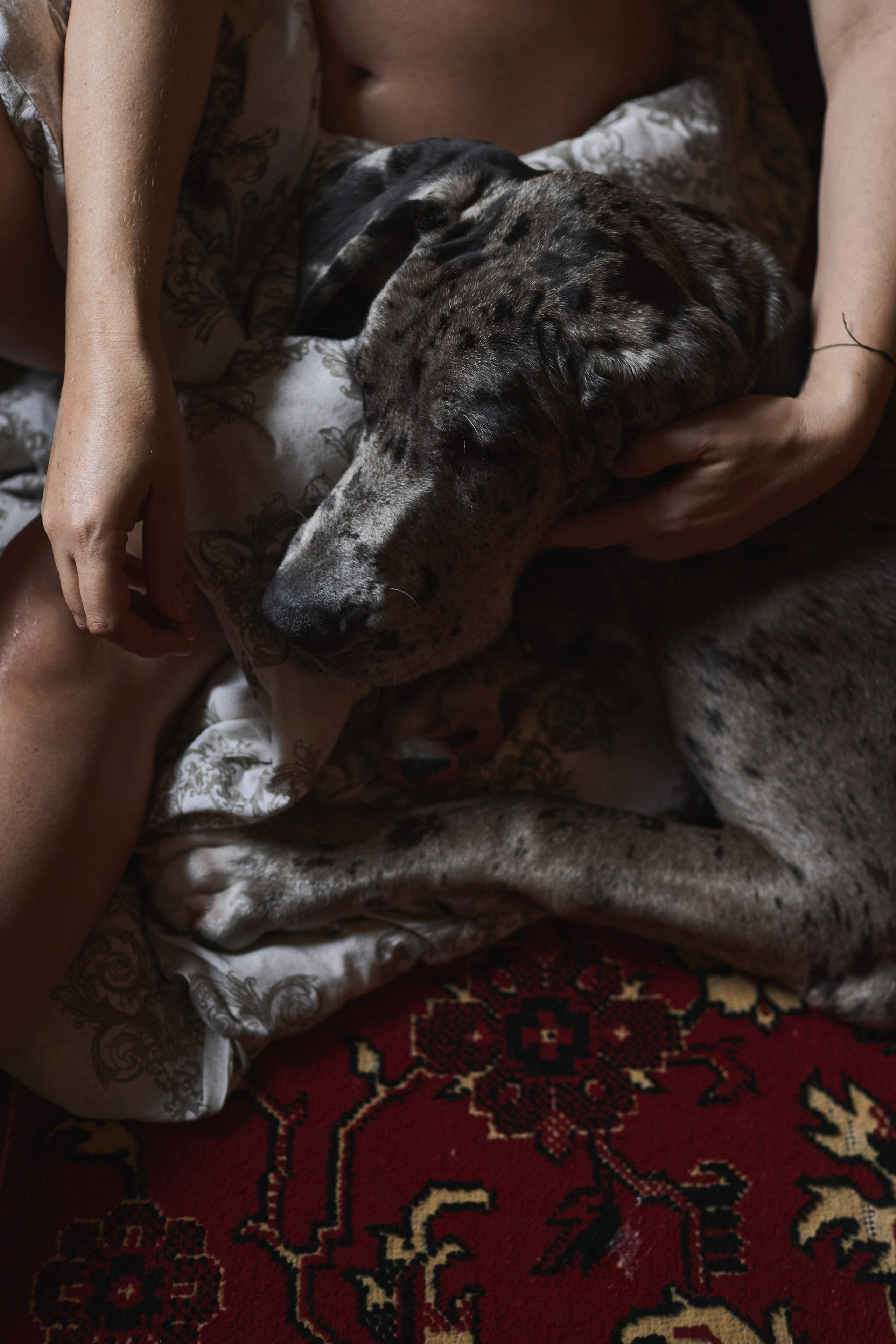 Анюта. Уют, покой и нежность. Крым фото, отдых Крым, Севастополь фото, Свадьба фото, Олег Горбатко