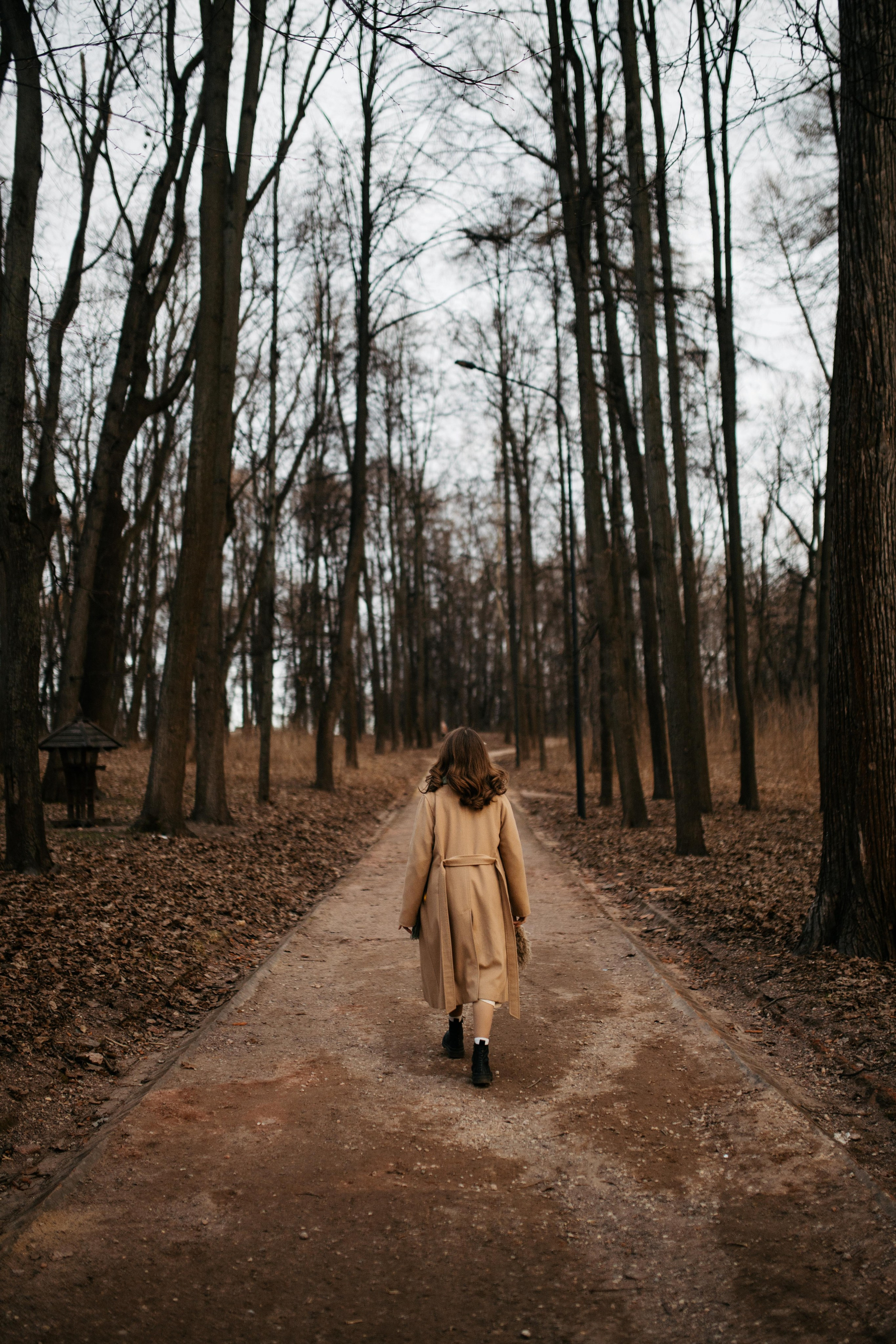 Фотопрогулка. Главная