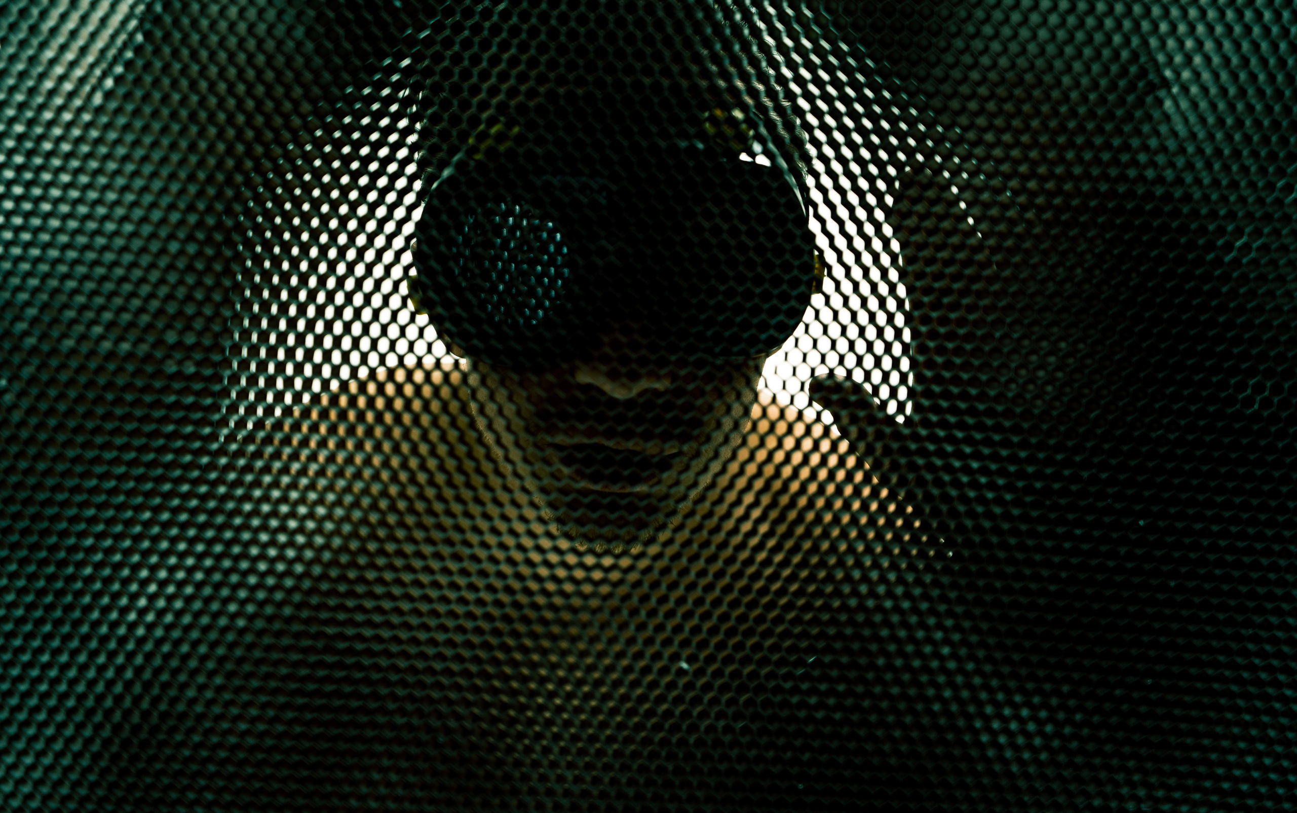 Антон. Кучерявая || Фотограф || Самара·Питер·Москва