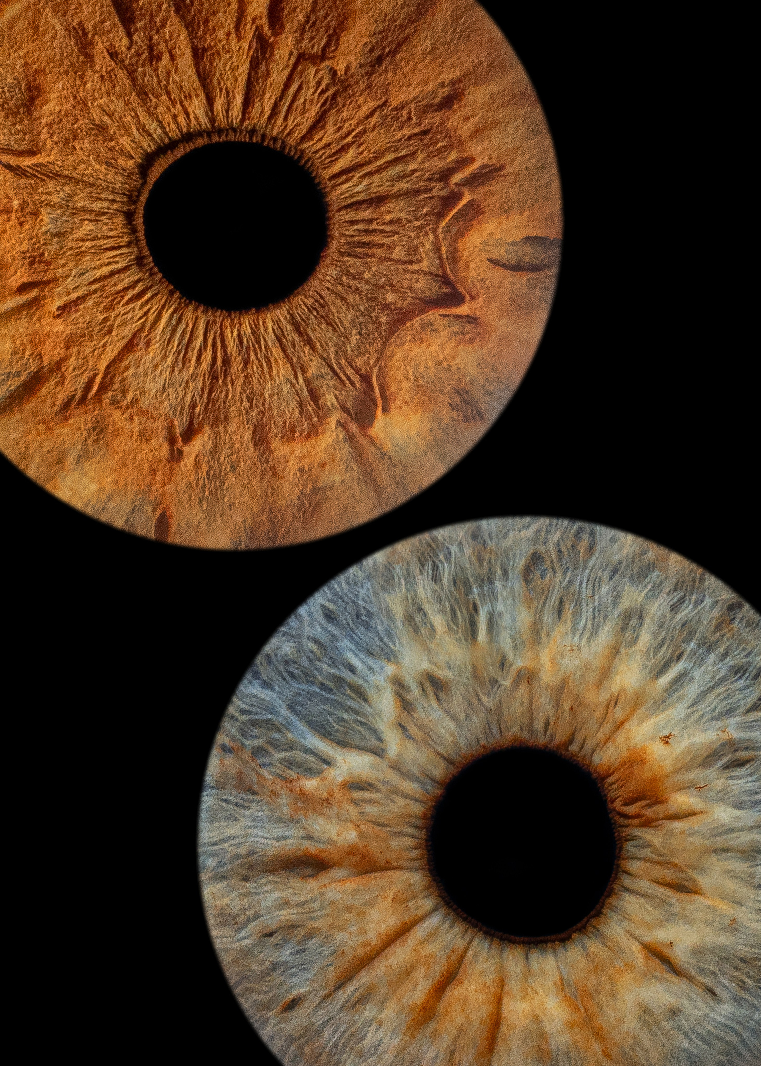 фото радужки глаза Хабаровск фотография радужки глаза Хабаровск