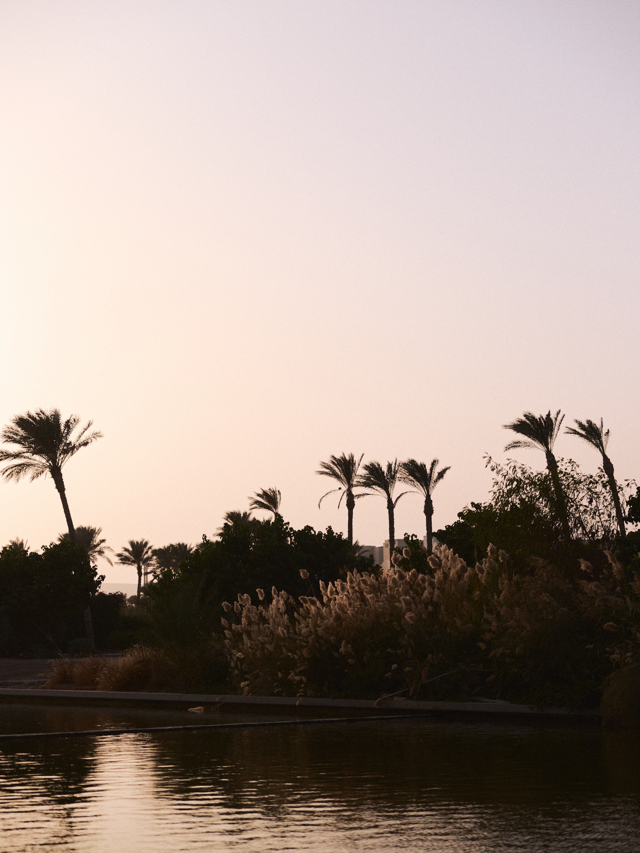 ¼. Jorgis Talè — photographer, kind person, teacher of arts and other mag