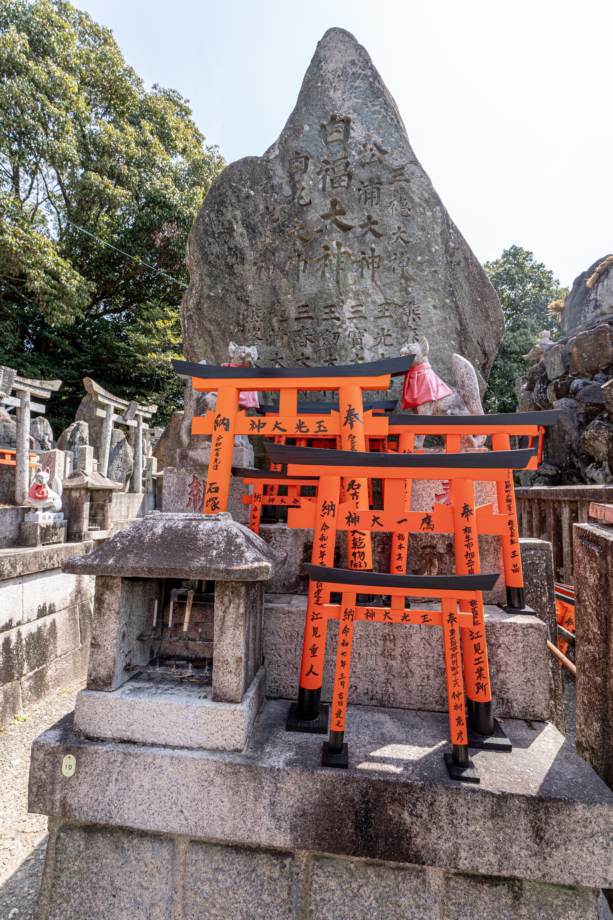 Япония, сакура. Творческие сьемки