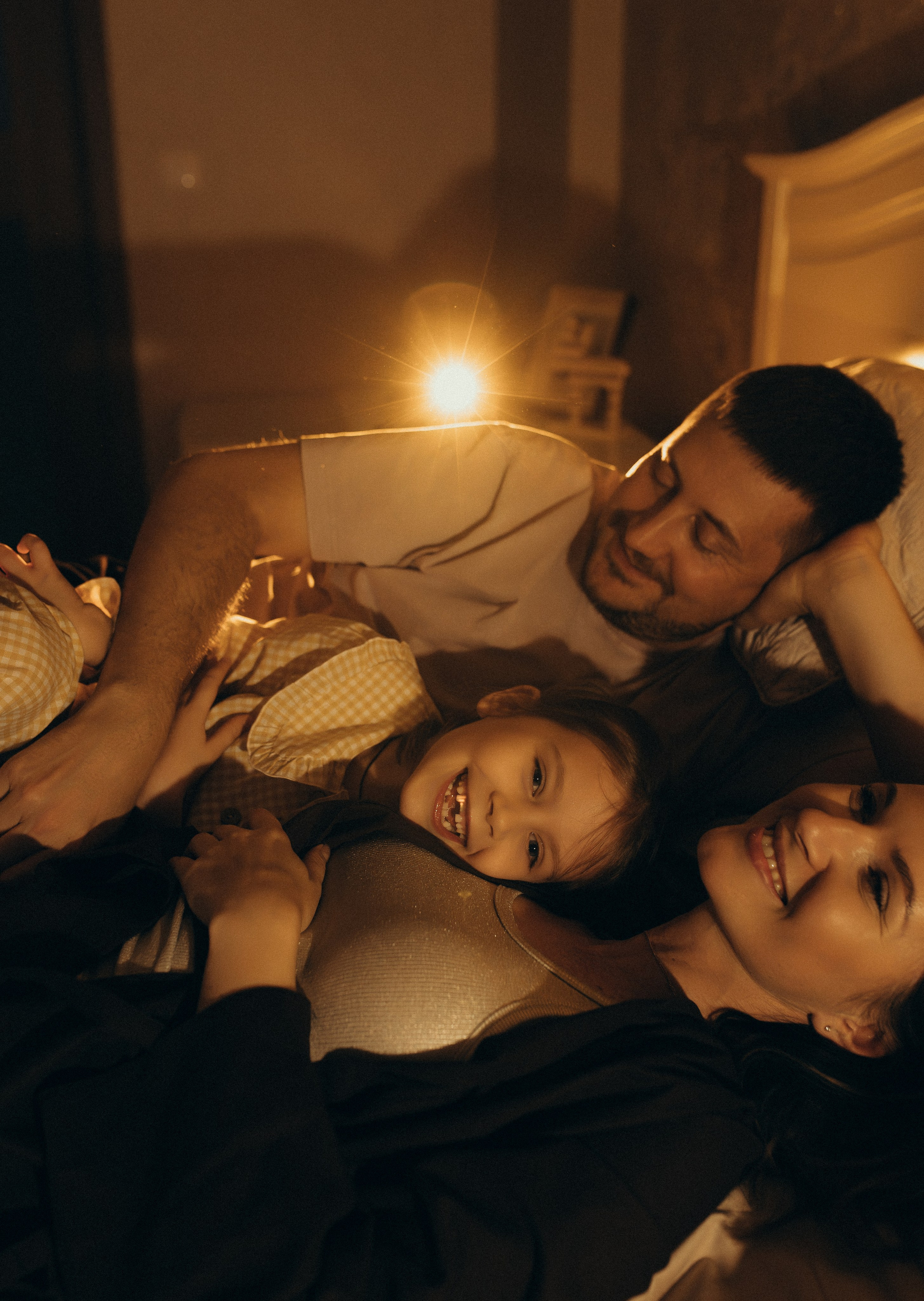 Домашняя история. Meryfotoidea