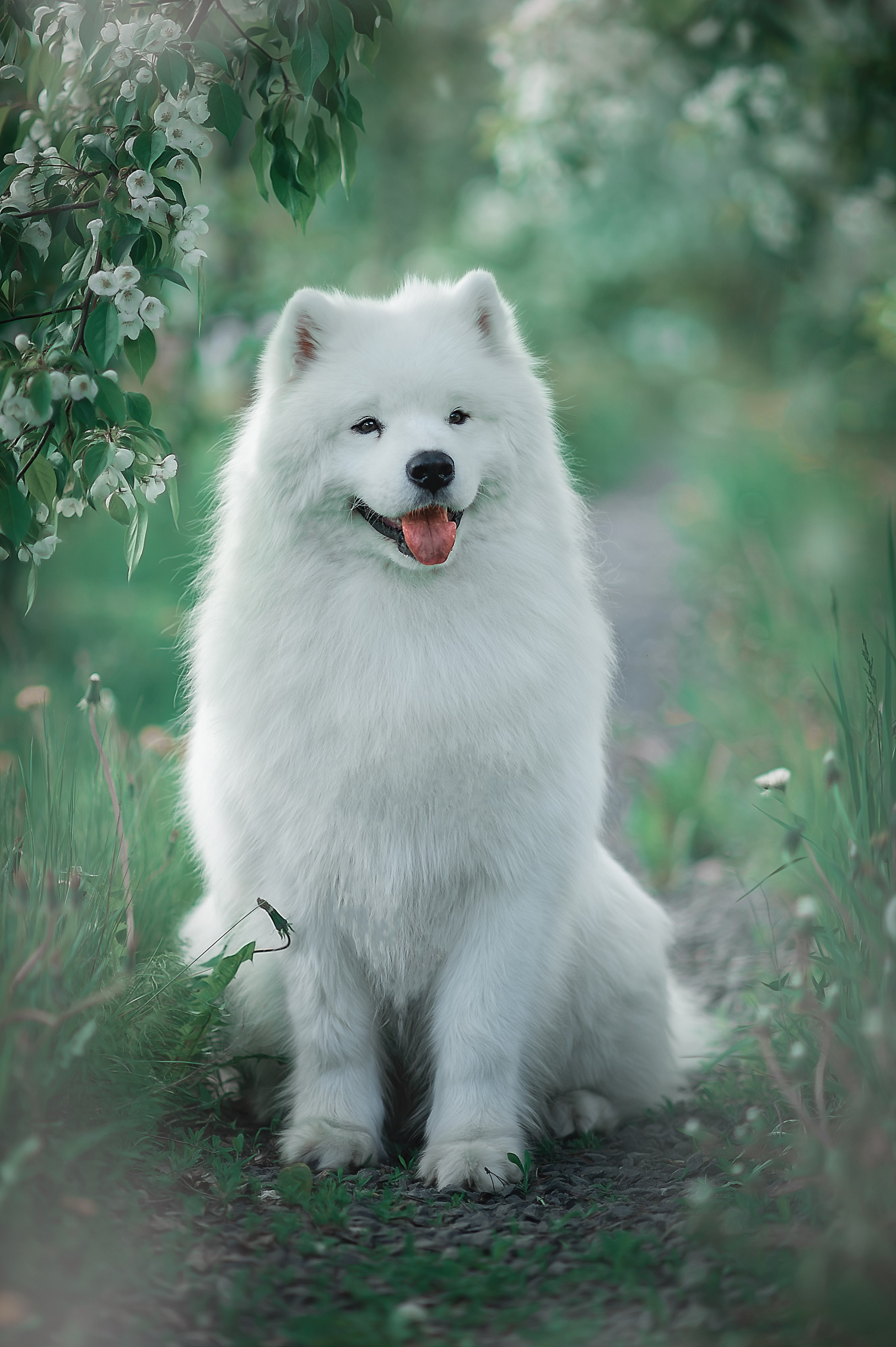 Фотосессия животных в Ижевских, фотограф животных. Детский, семейный фотограф в Ижевске и Москве Аксинья Лысенкова ADEN