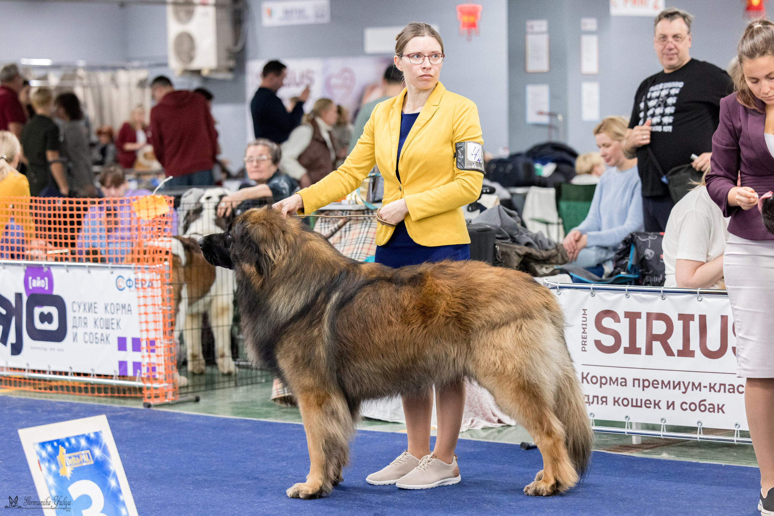 Сфера 29.10,Крокус 4.11,Сфера 12.11.2023. Фотограф-анималист Юлия Германика