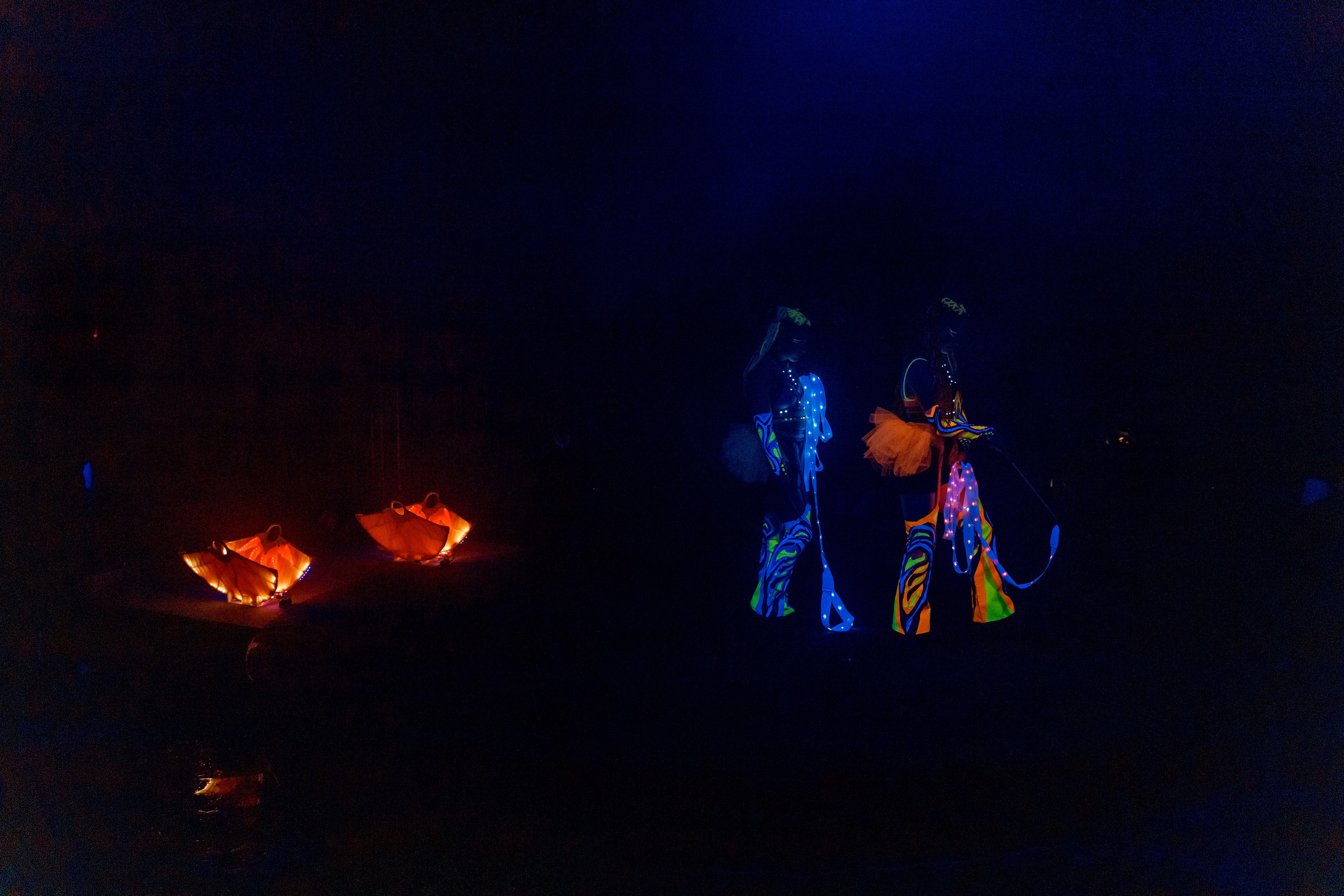 Цирк на воде. Свадебный фотограф Иркутск, репортажный фотограф Иркутск