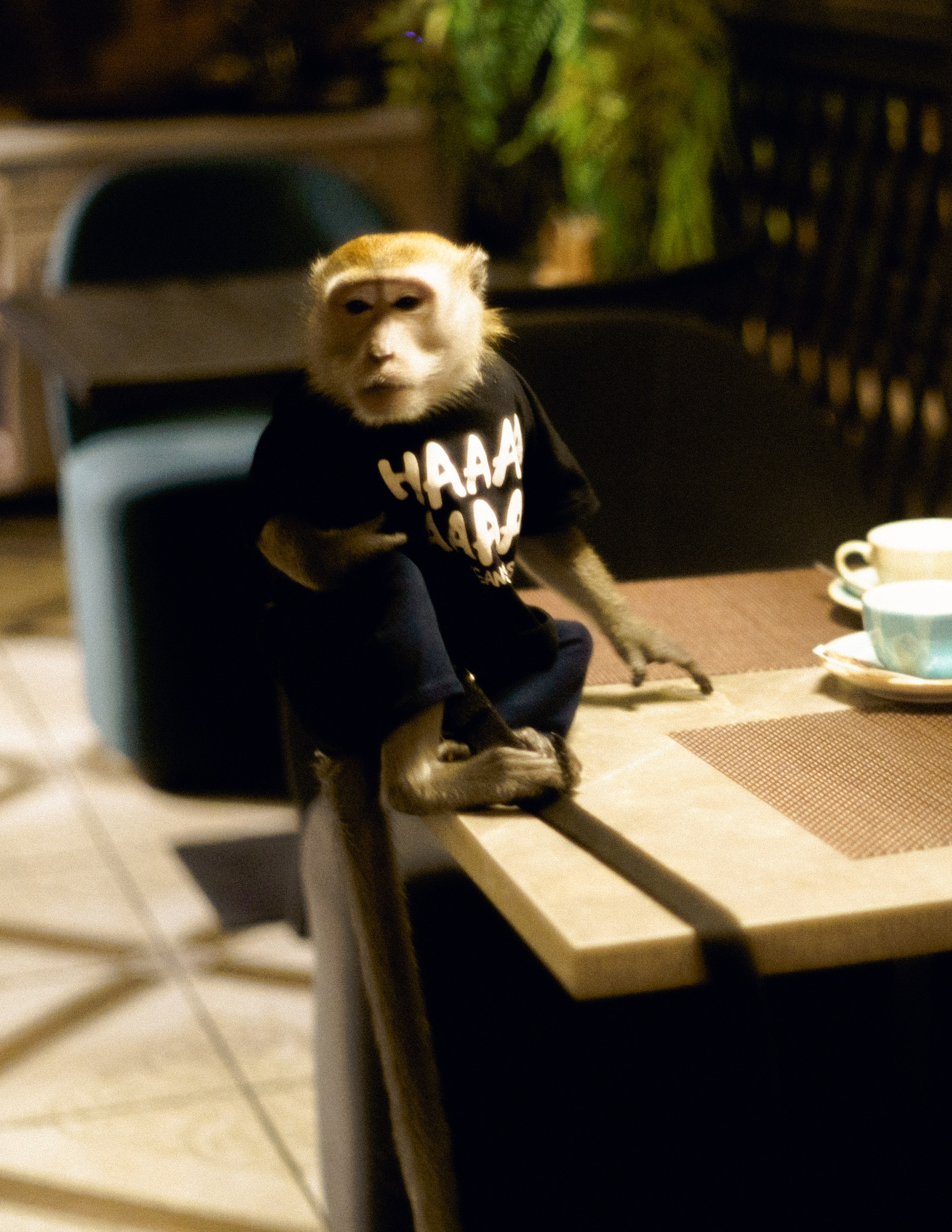 «Чердак». Портретный фотограф в Сургуте