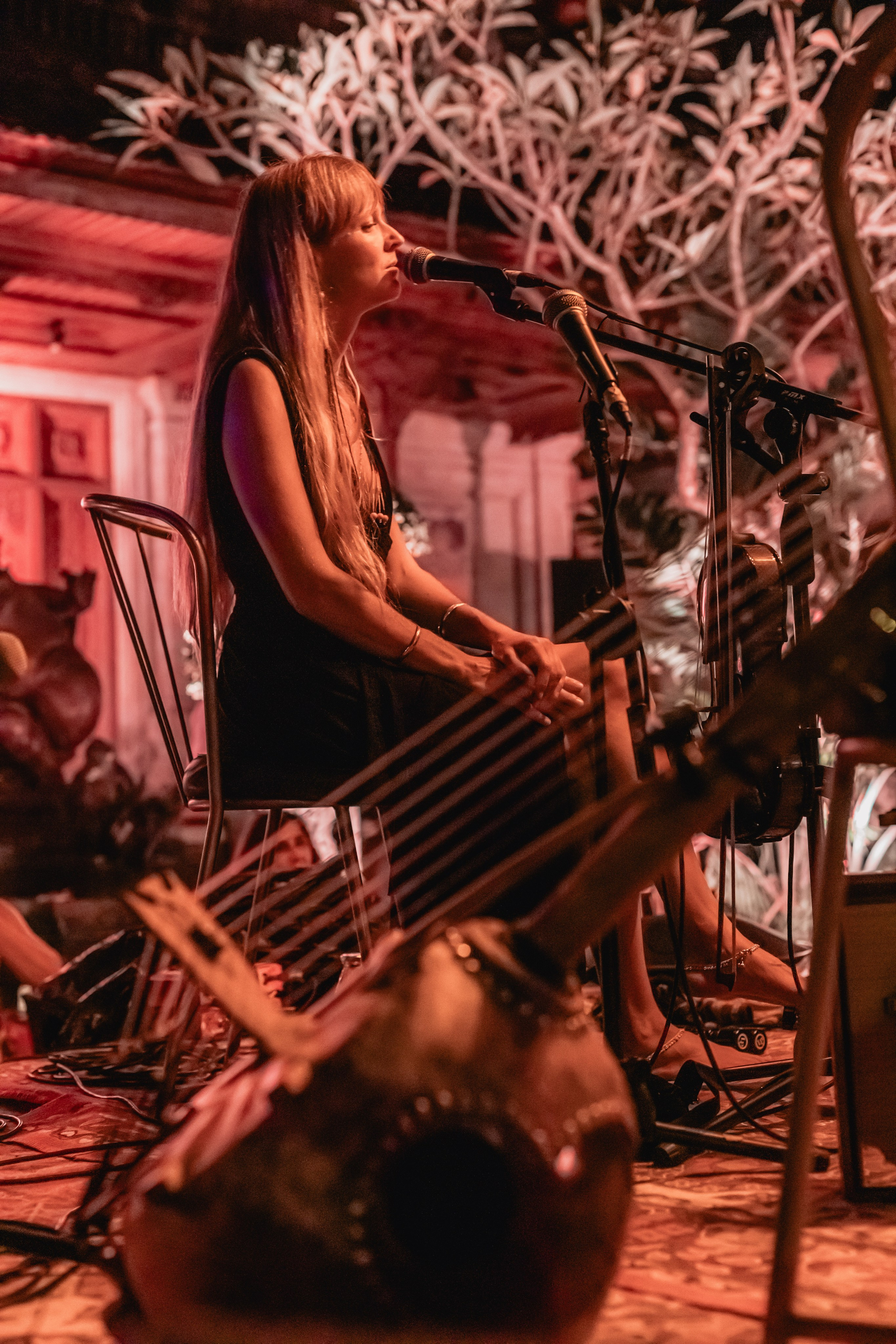 Alegria festival at Zest. Мариам Багдасарян