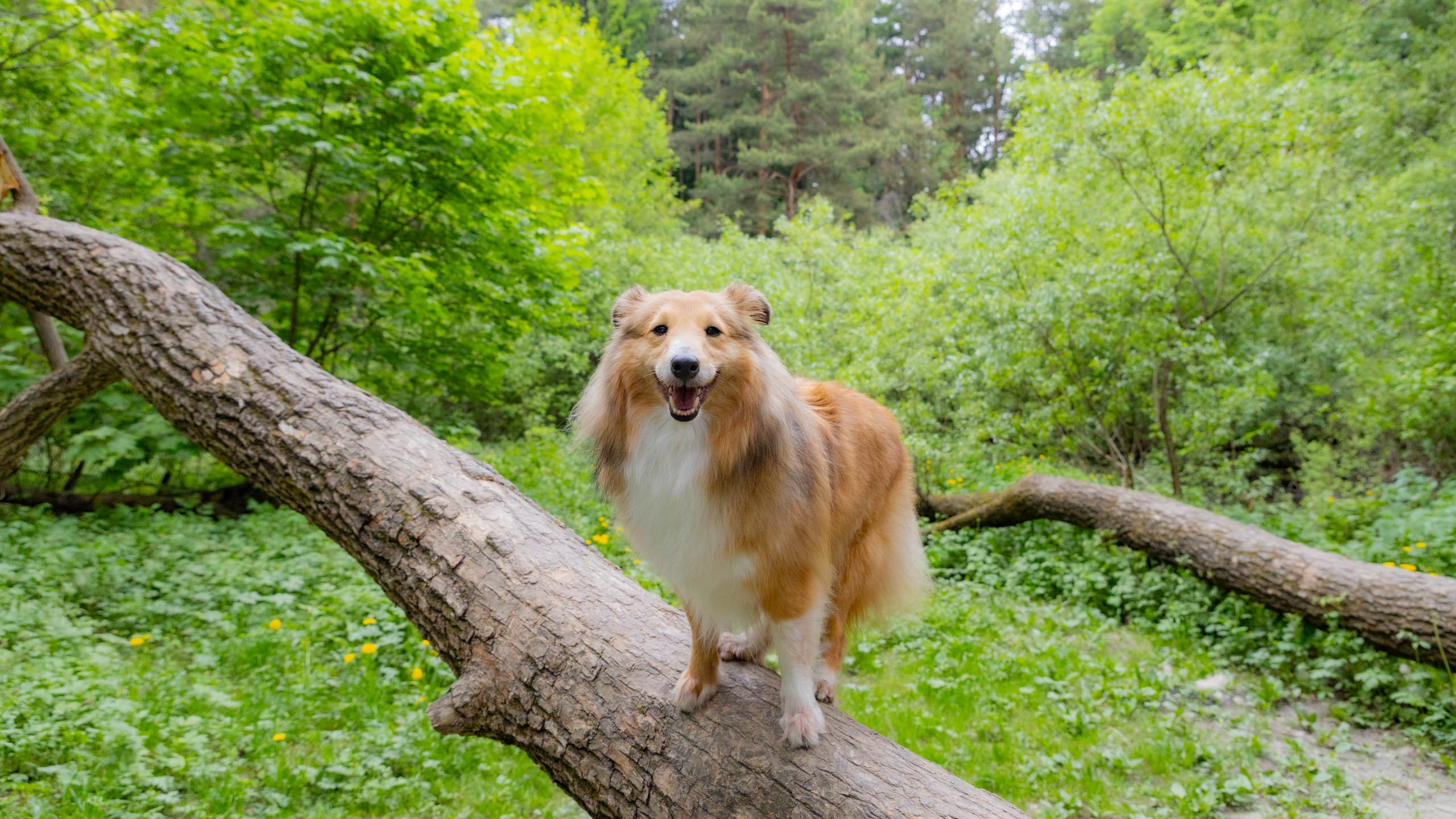 202405 Элис и Лора. Фотографии