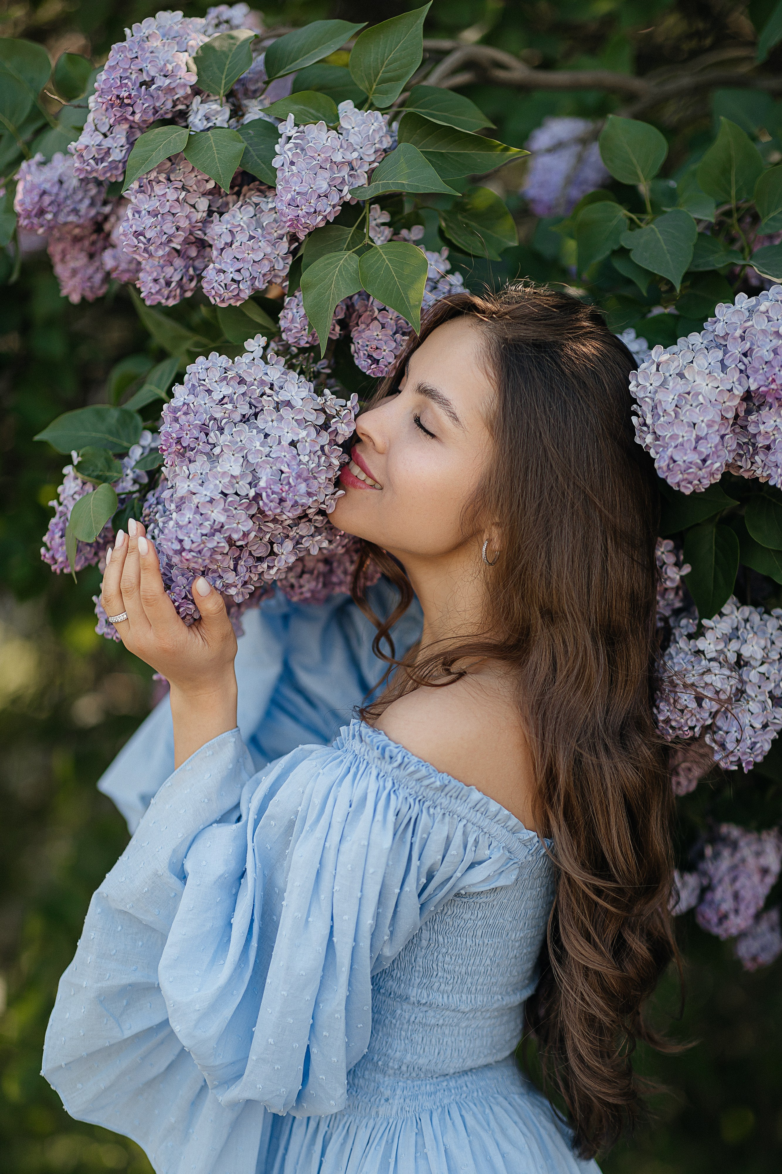 Сирень Азиза. Фотограф Москва