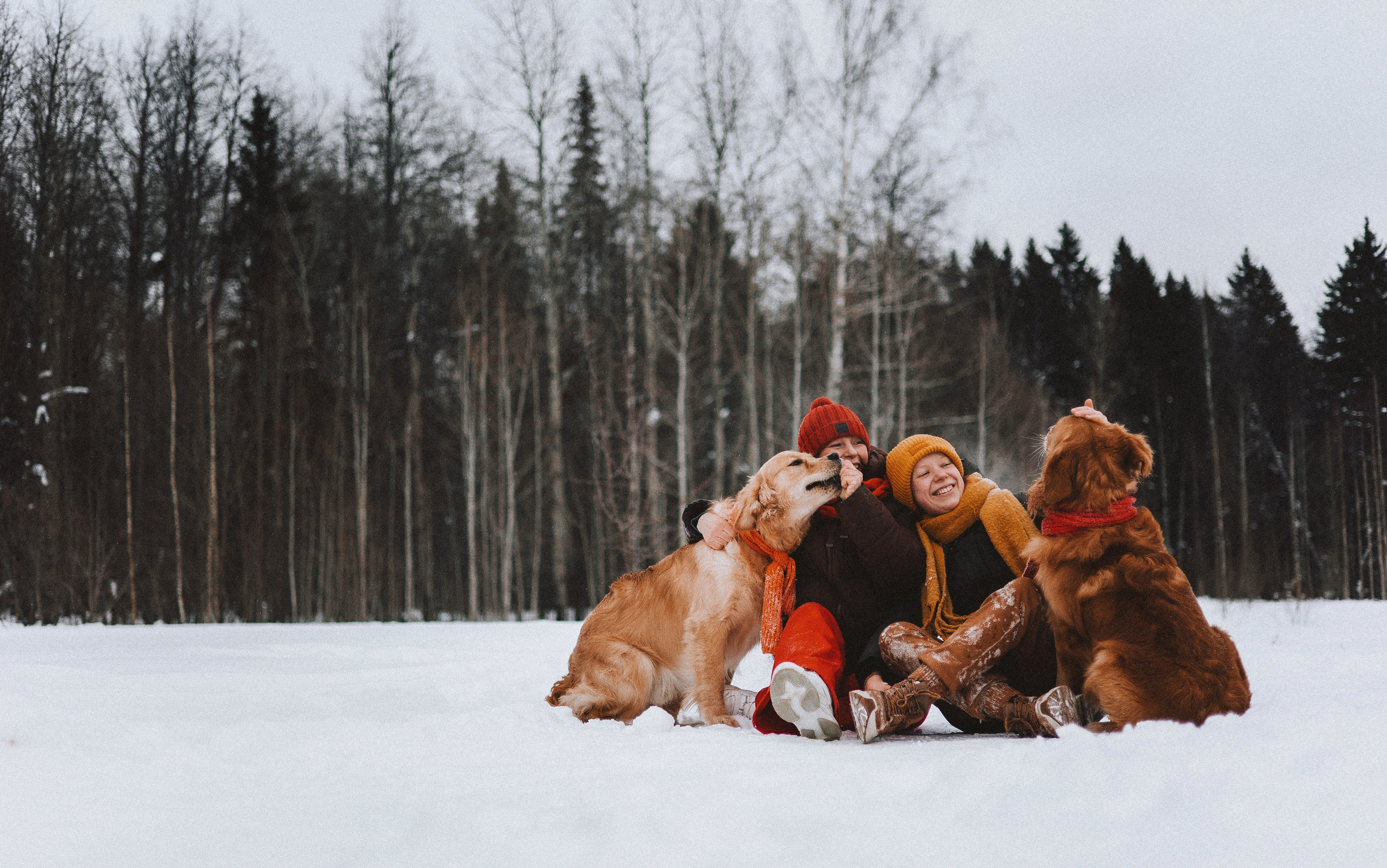 Саша, Юля, Грэй и Джой. Фотограф-анималист Богданова Полина