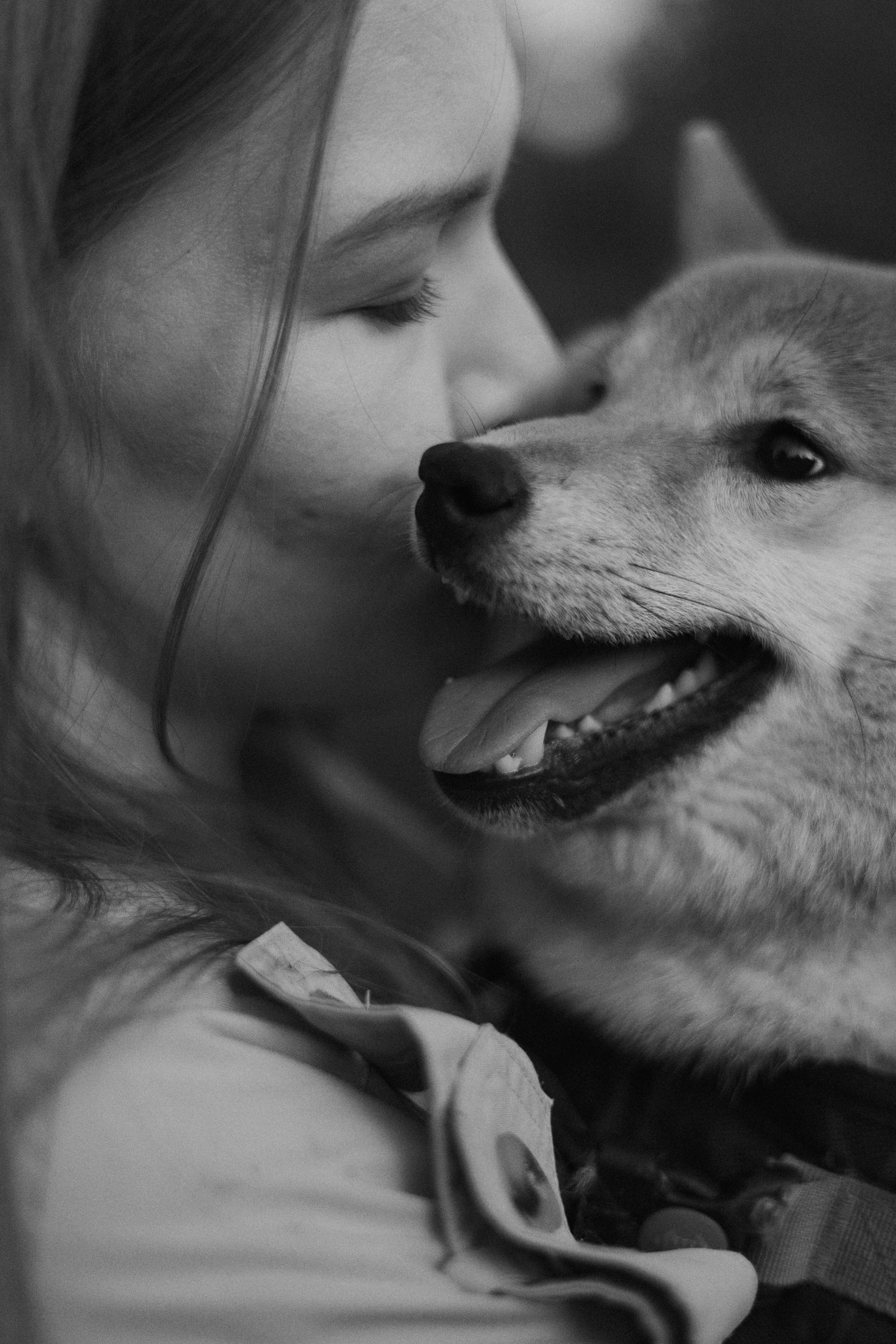 Аня и Шани. Фотограф-анималист Богданова Полина