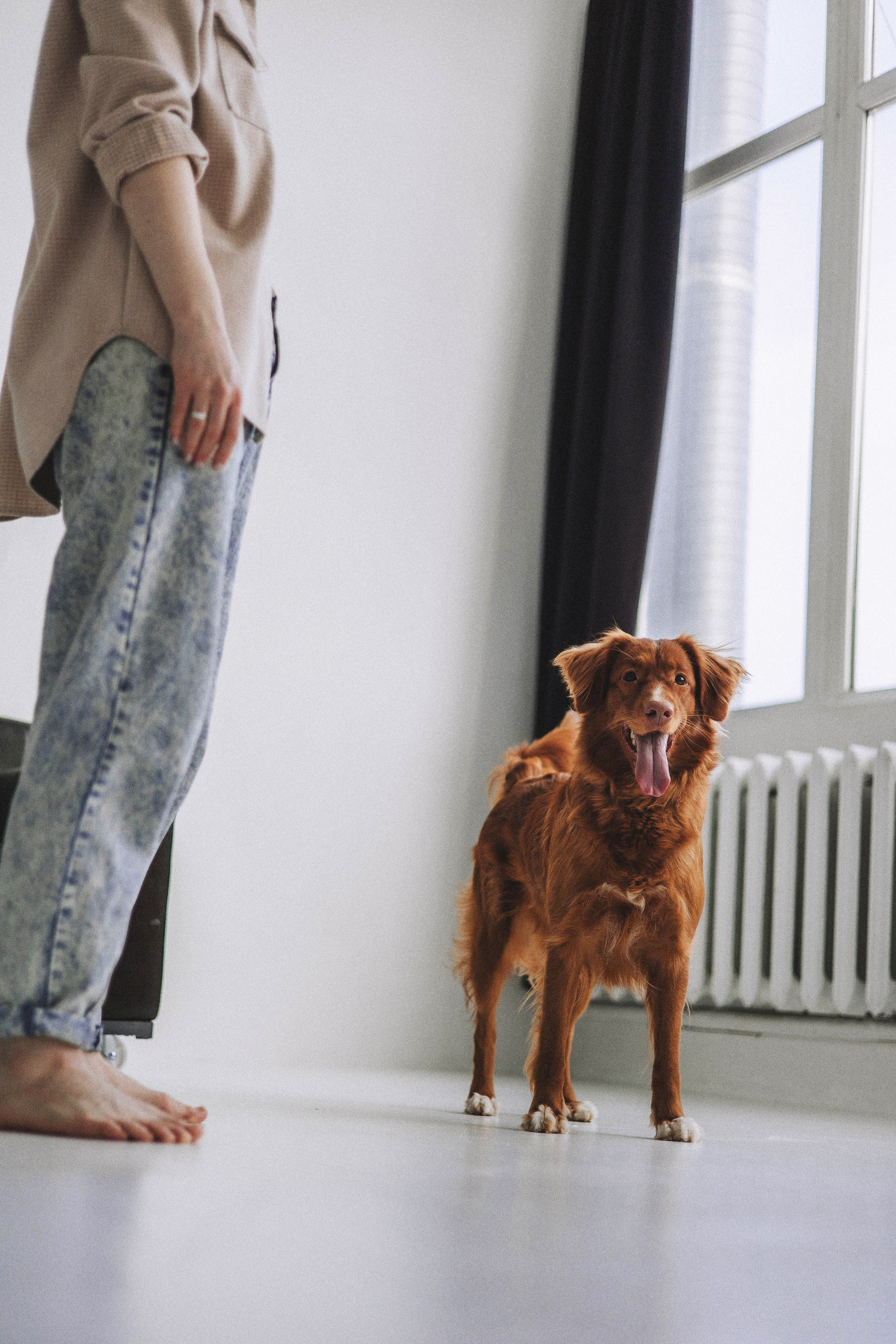 Аня и Лея. Фотограф-анималист Богданова Полина