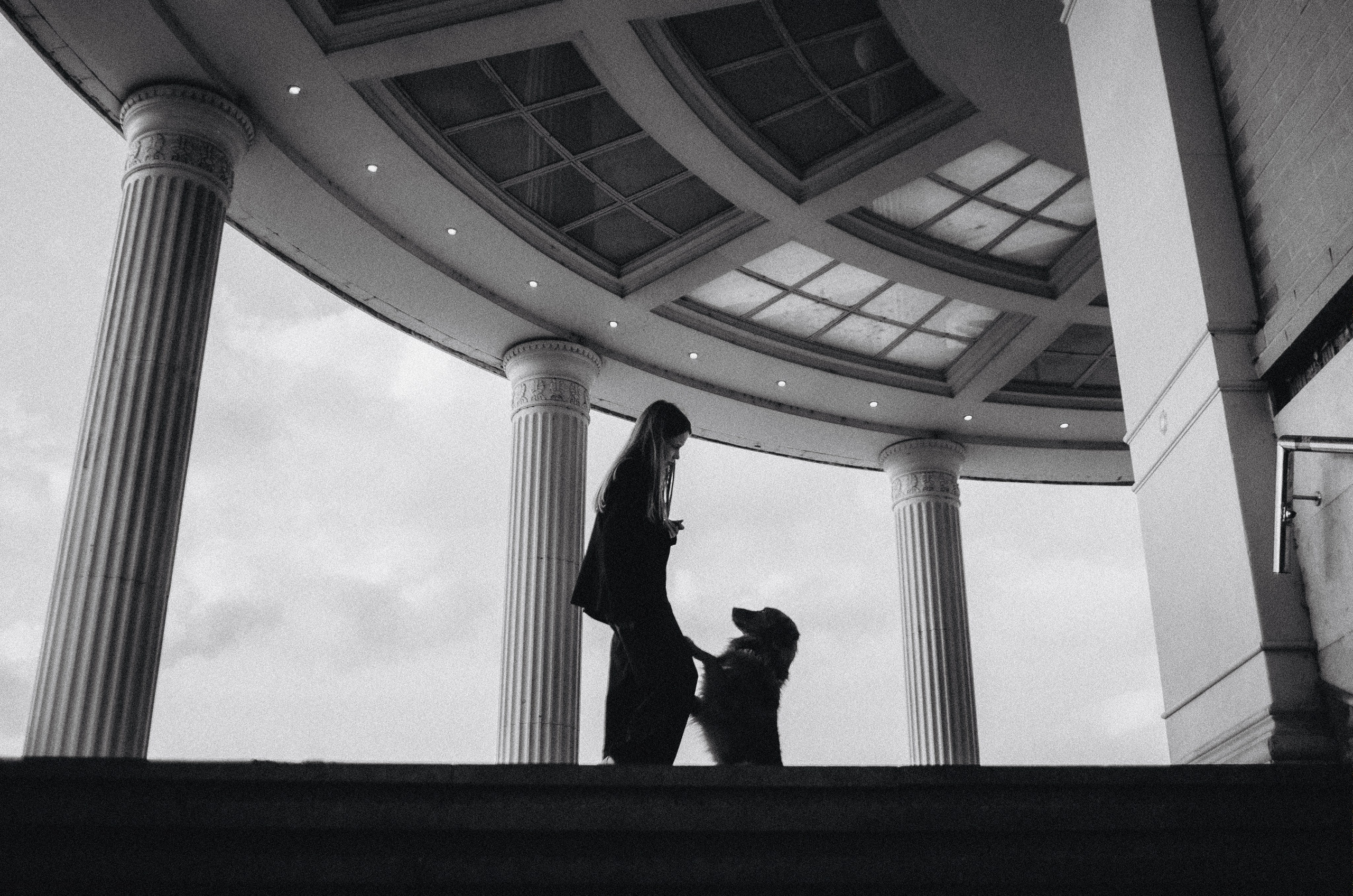 Алина и Бис. Фотограф-анималист Богданова Полина