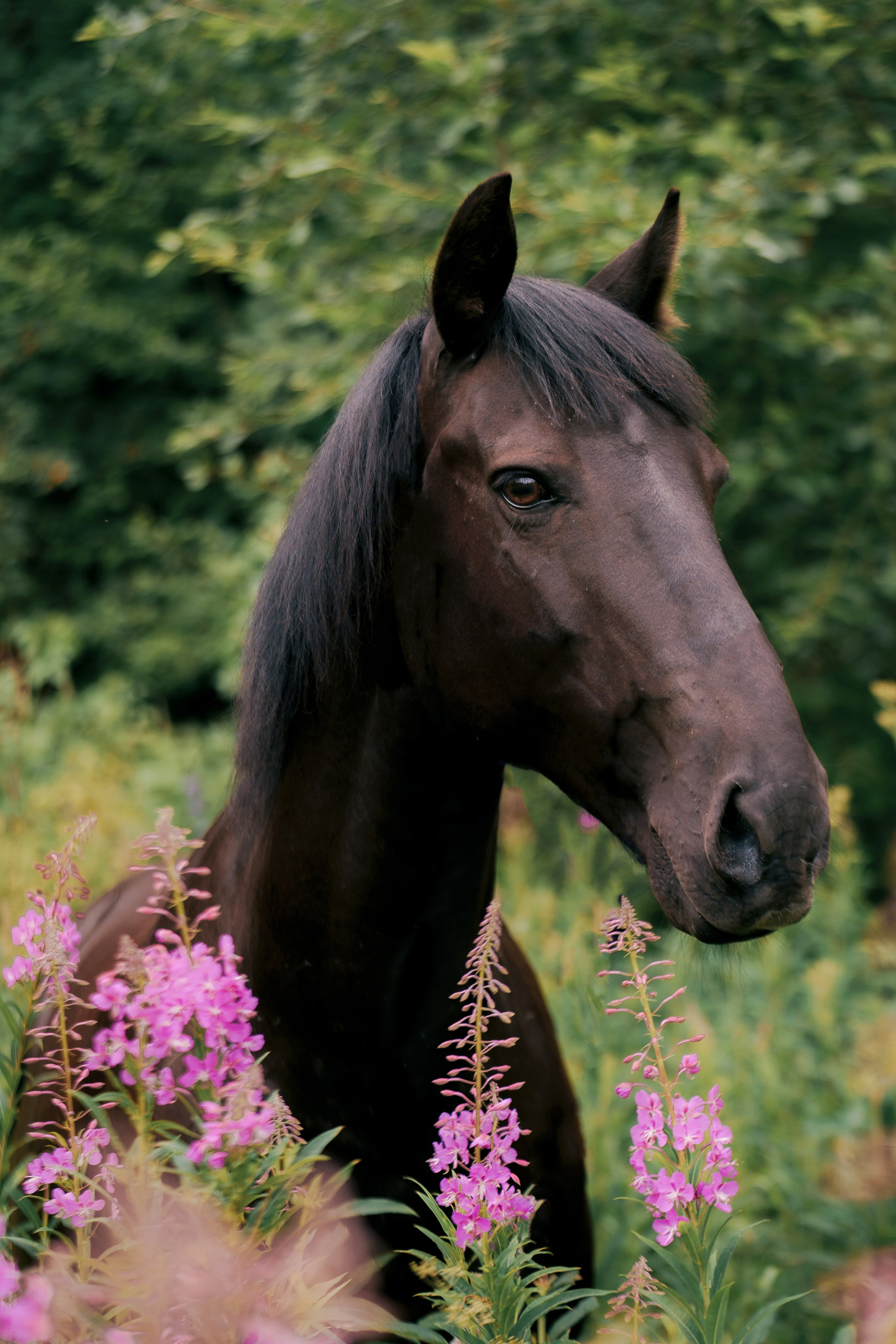 КСК Славино. Фотограф-анималист, портретный фотограф в Чебоксарах Мария Садыкова