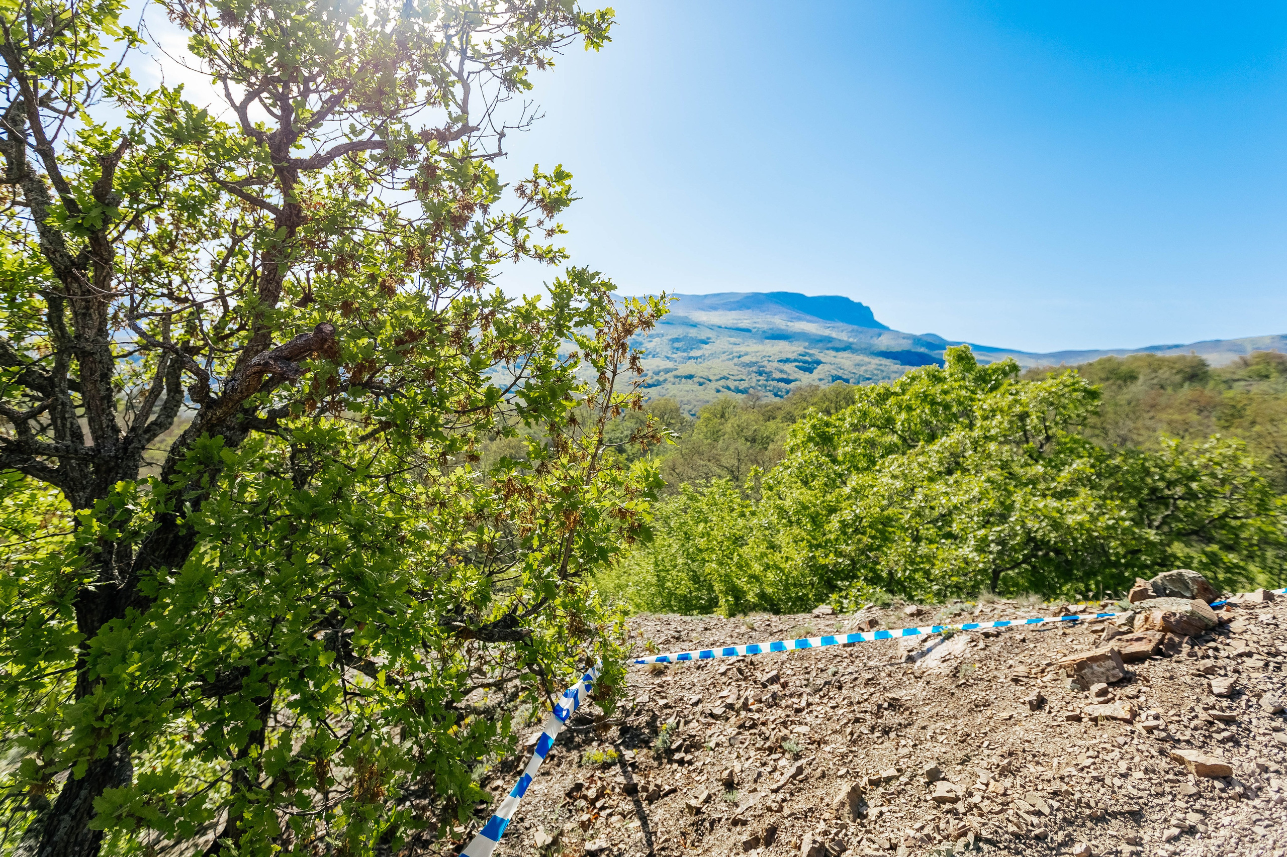 РЭС 2025 Крым. Фотограф Краснодар Марго Хелбен