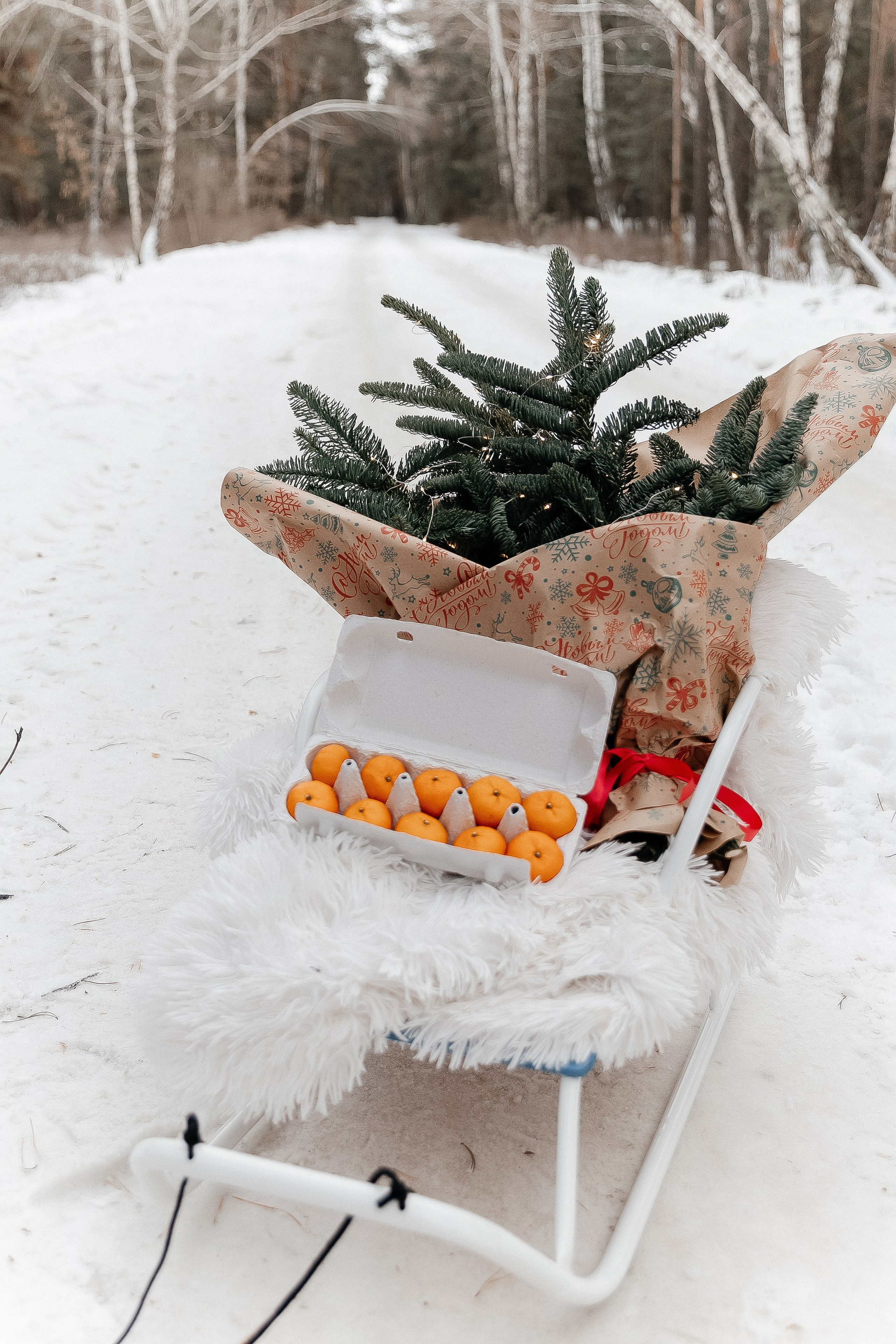 The Kiselev family. Семейный и свадебный фотограф в Южноуральске Екатерина Столярова