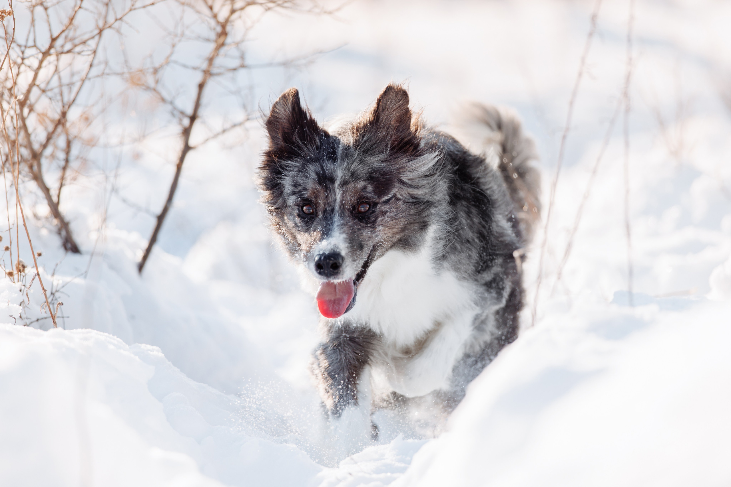 Яркий январь. О нас