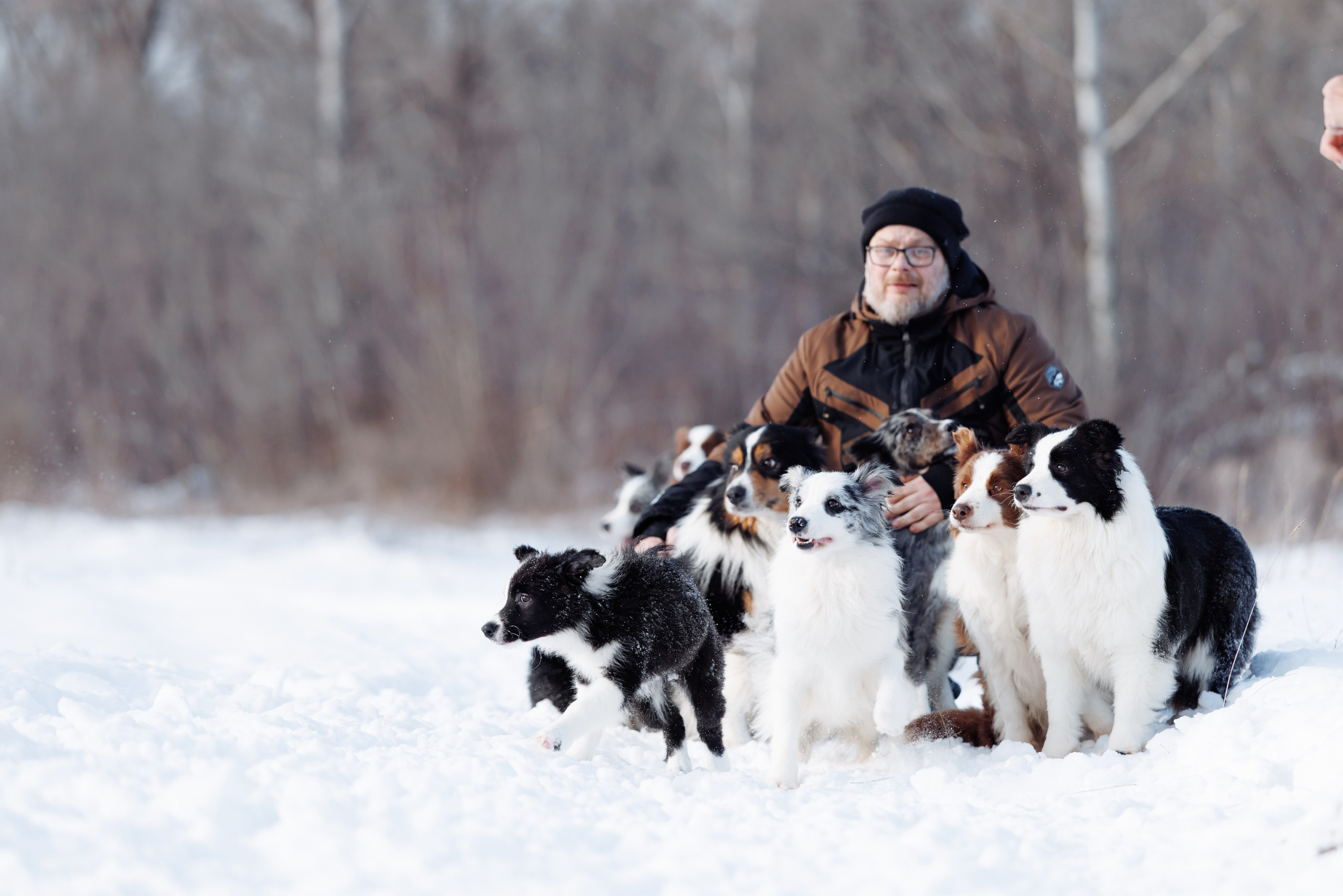 Яркий январь. О нас