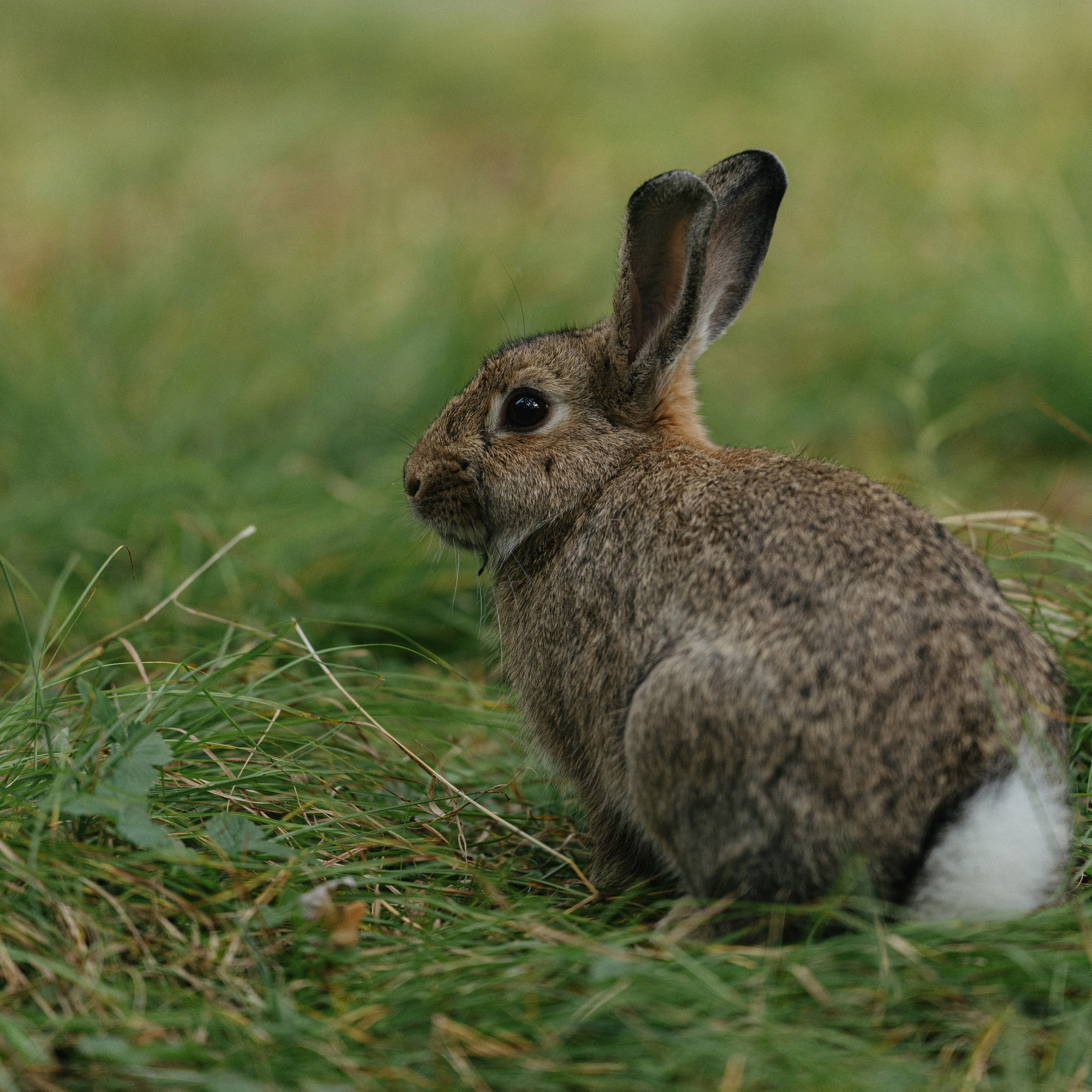 07 сентября 2024. Фотограф Томск, Новосибирск Влад Свириденко