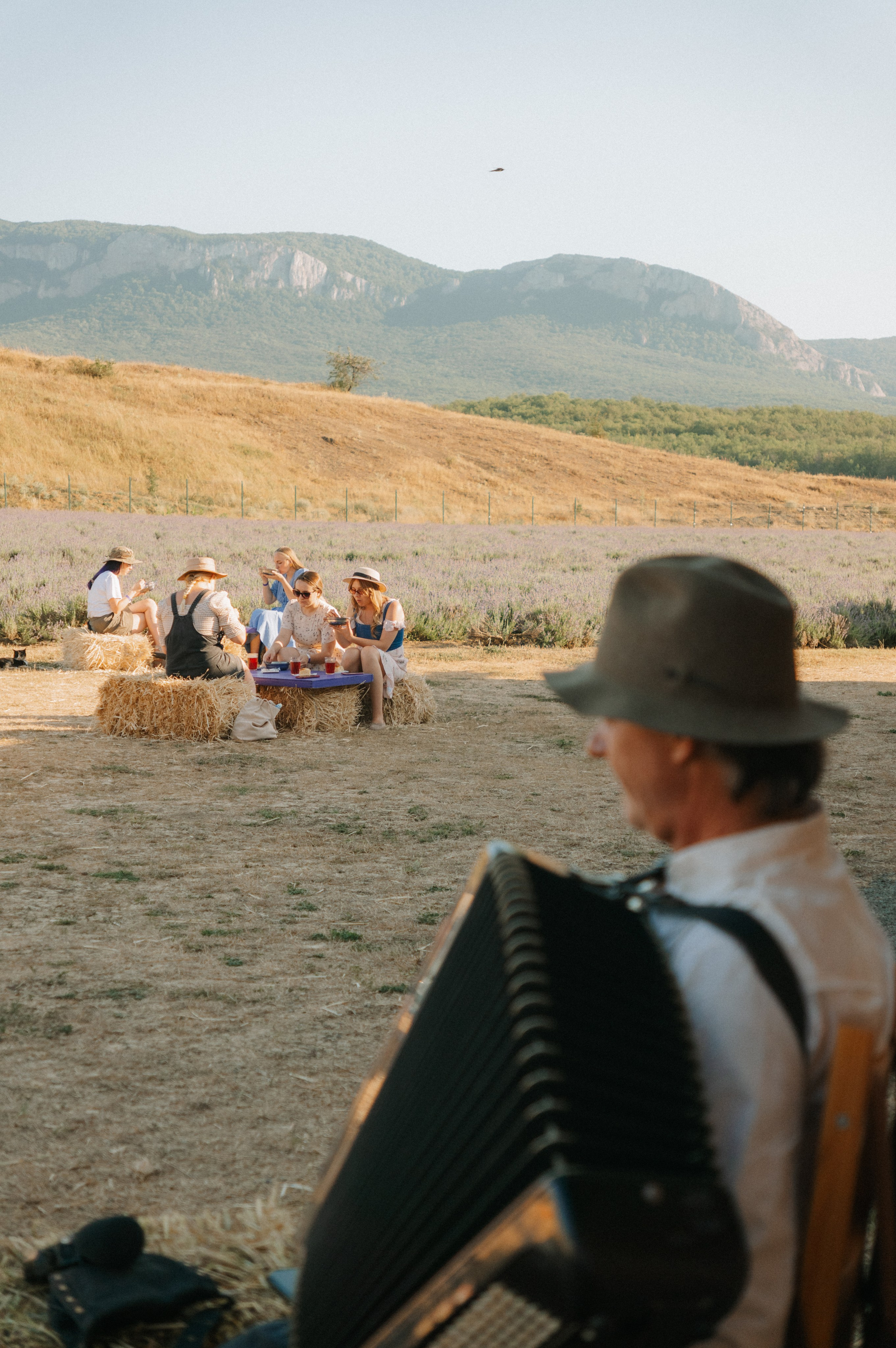 Сбор урожая | лавандовая ферма Viva Lavanda. Обо мне