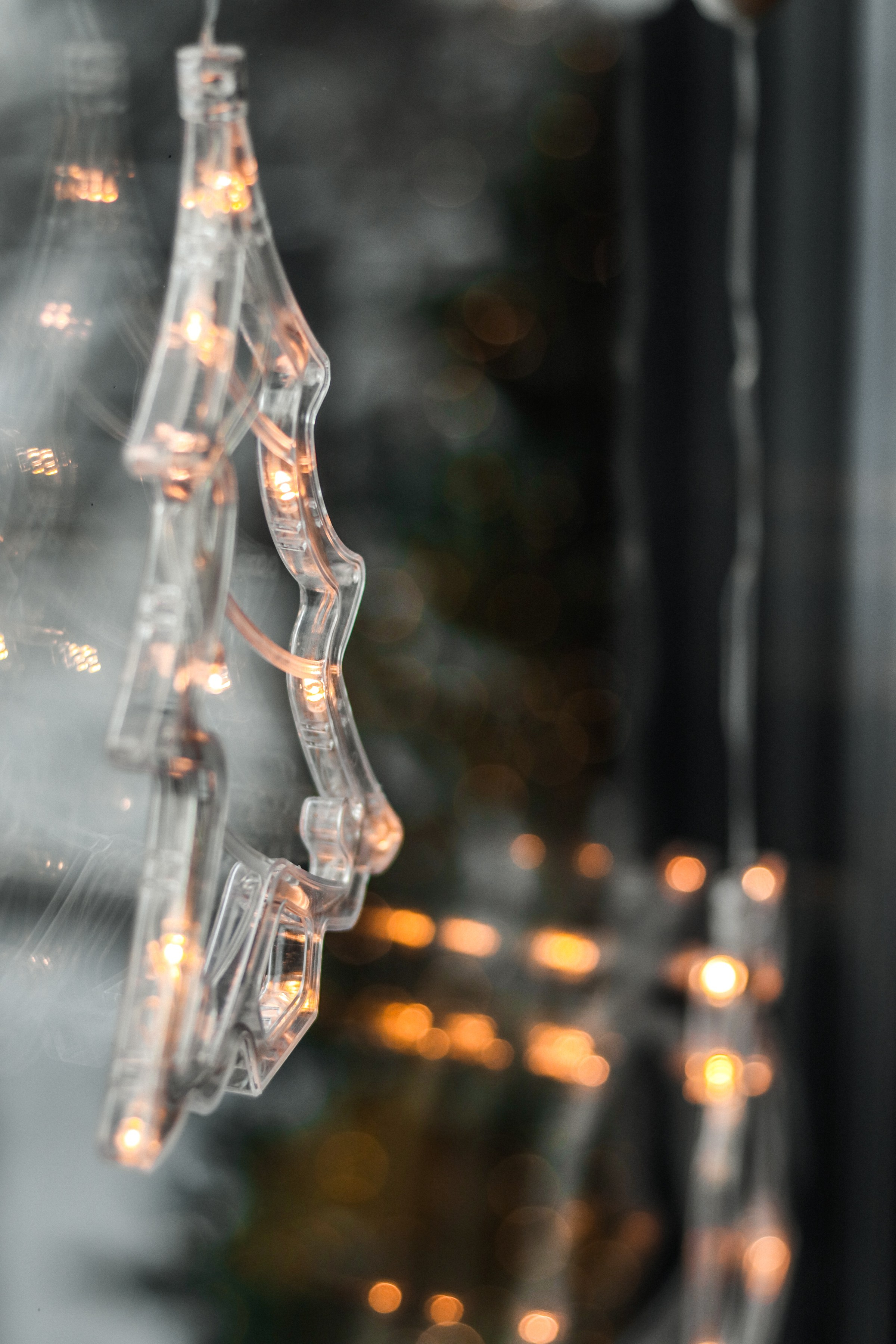 «Белкин дом» глэмпинг, г. Белокуриха. Контент фотограф Дмитрий Борисов