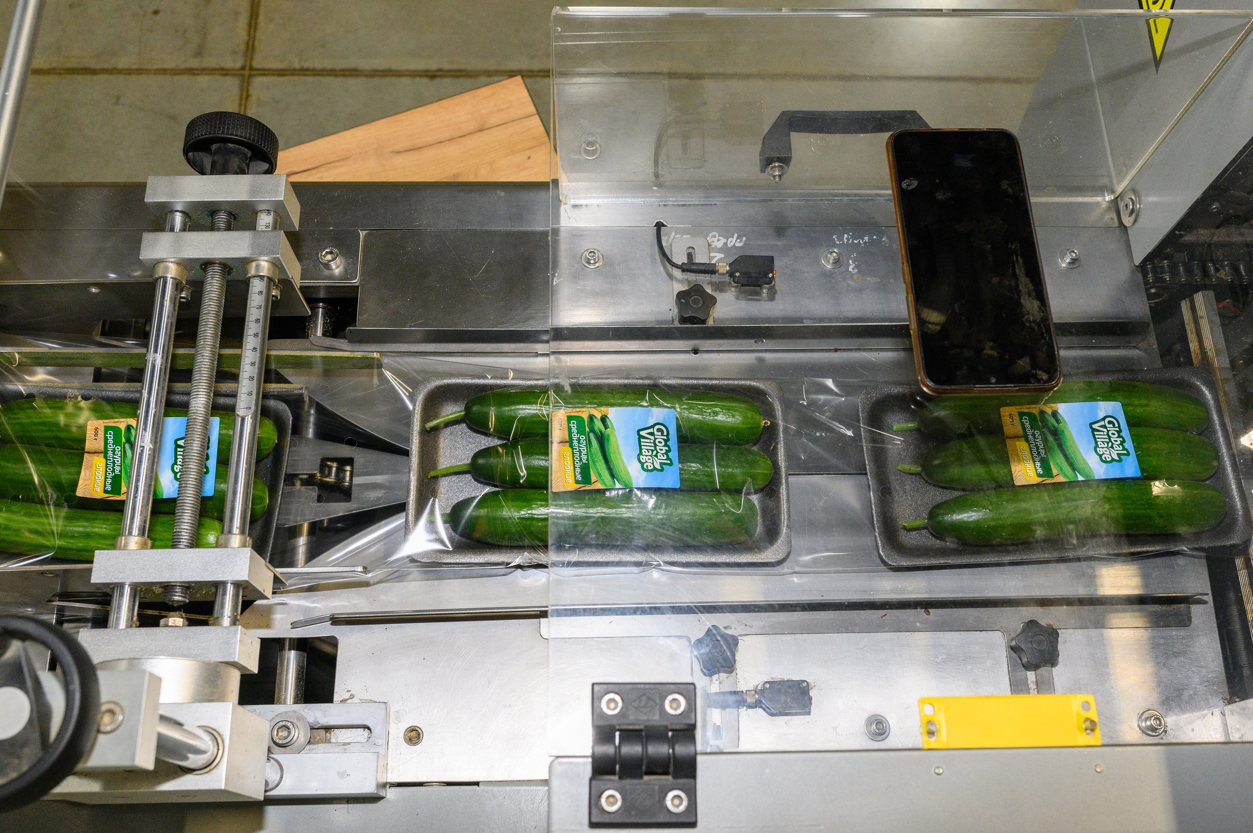 Тепличный комплекс «ПЕРМСКИЙ»